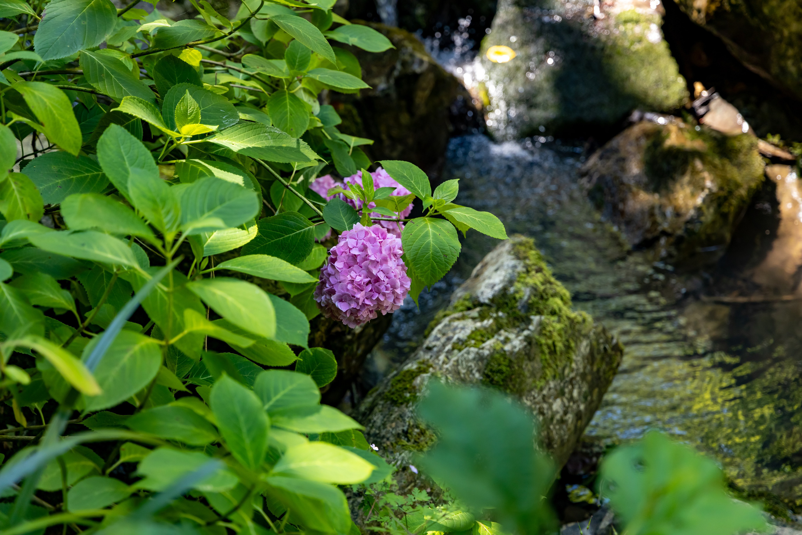 Сочи. Солох Аул. Репортажный, семейный и студийный фотограф в Москве Демин Алексей