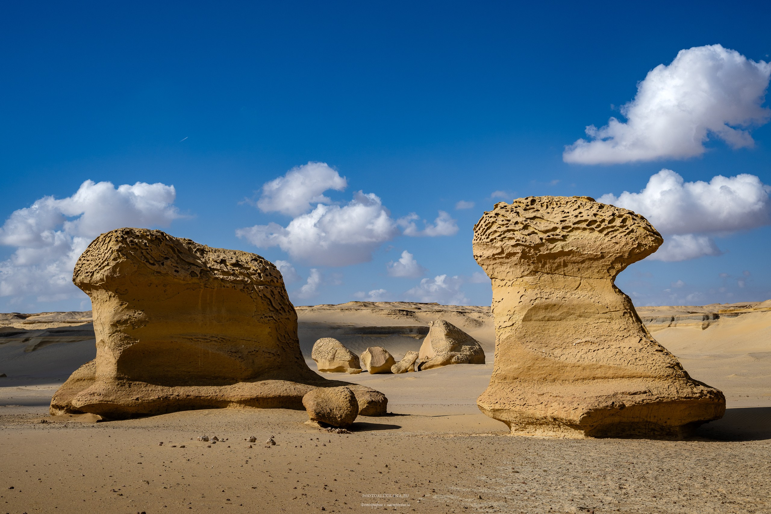 Снова в пустыню, за скелетами…. Авторские стильные фотокартины