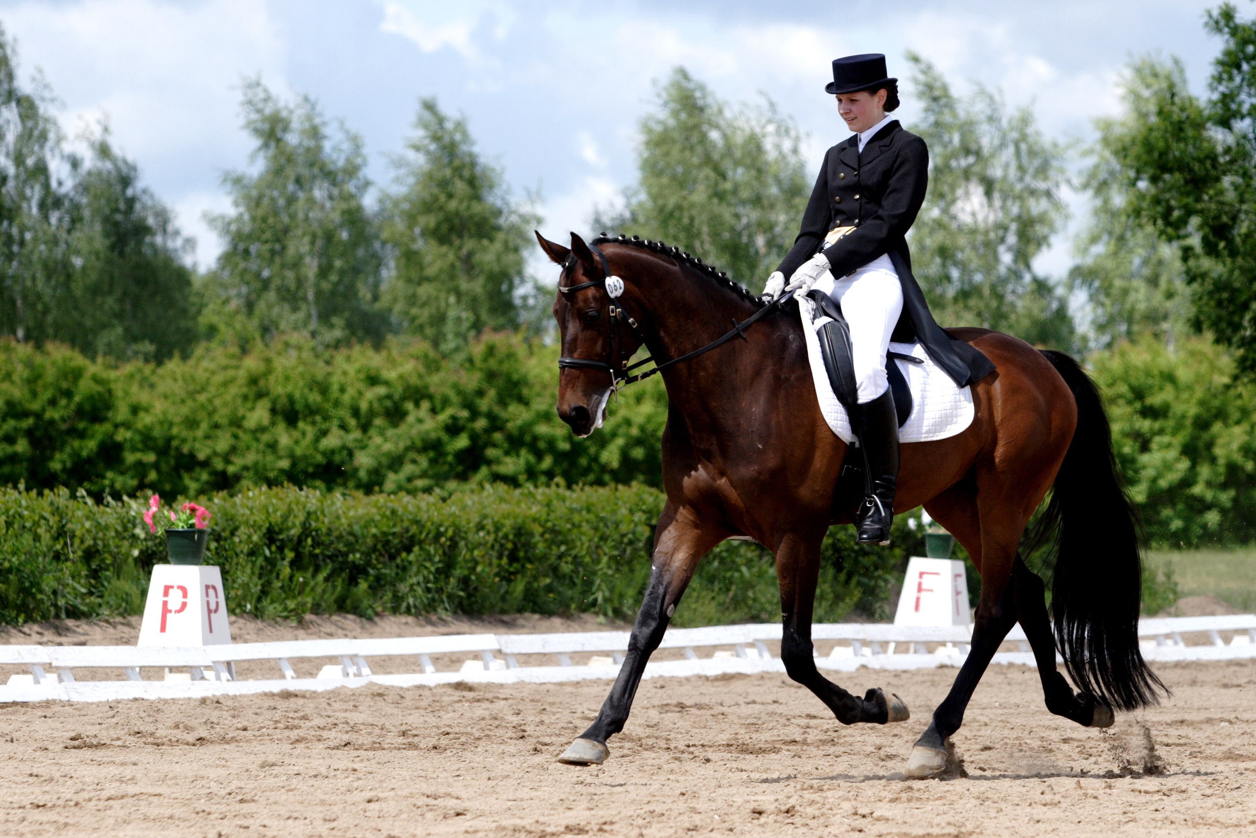 Репортаж. Фотограф Лагутин Анатолий