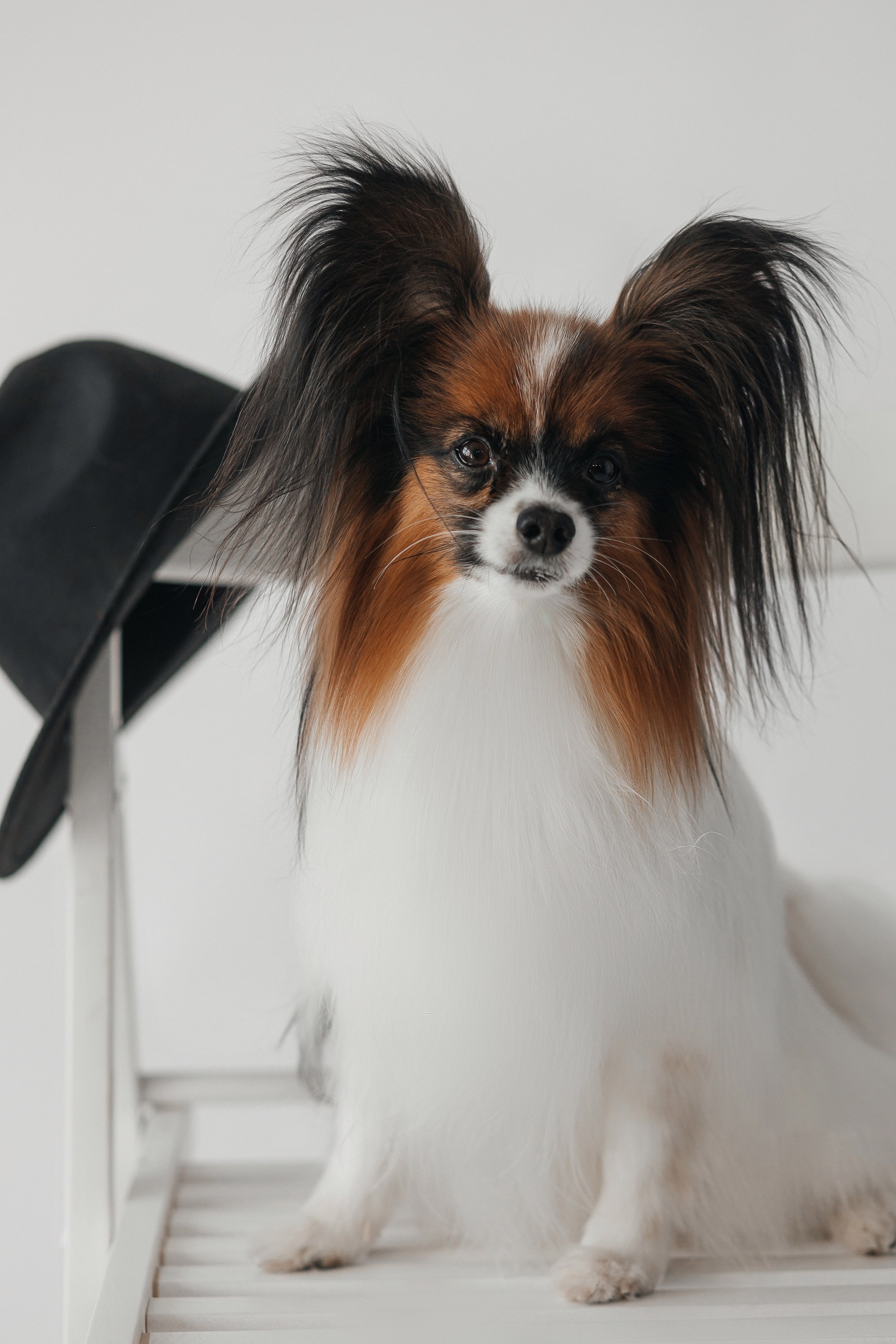 В студии. Свадебный фотограф Дмитрий Воробьев Ярославль