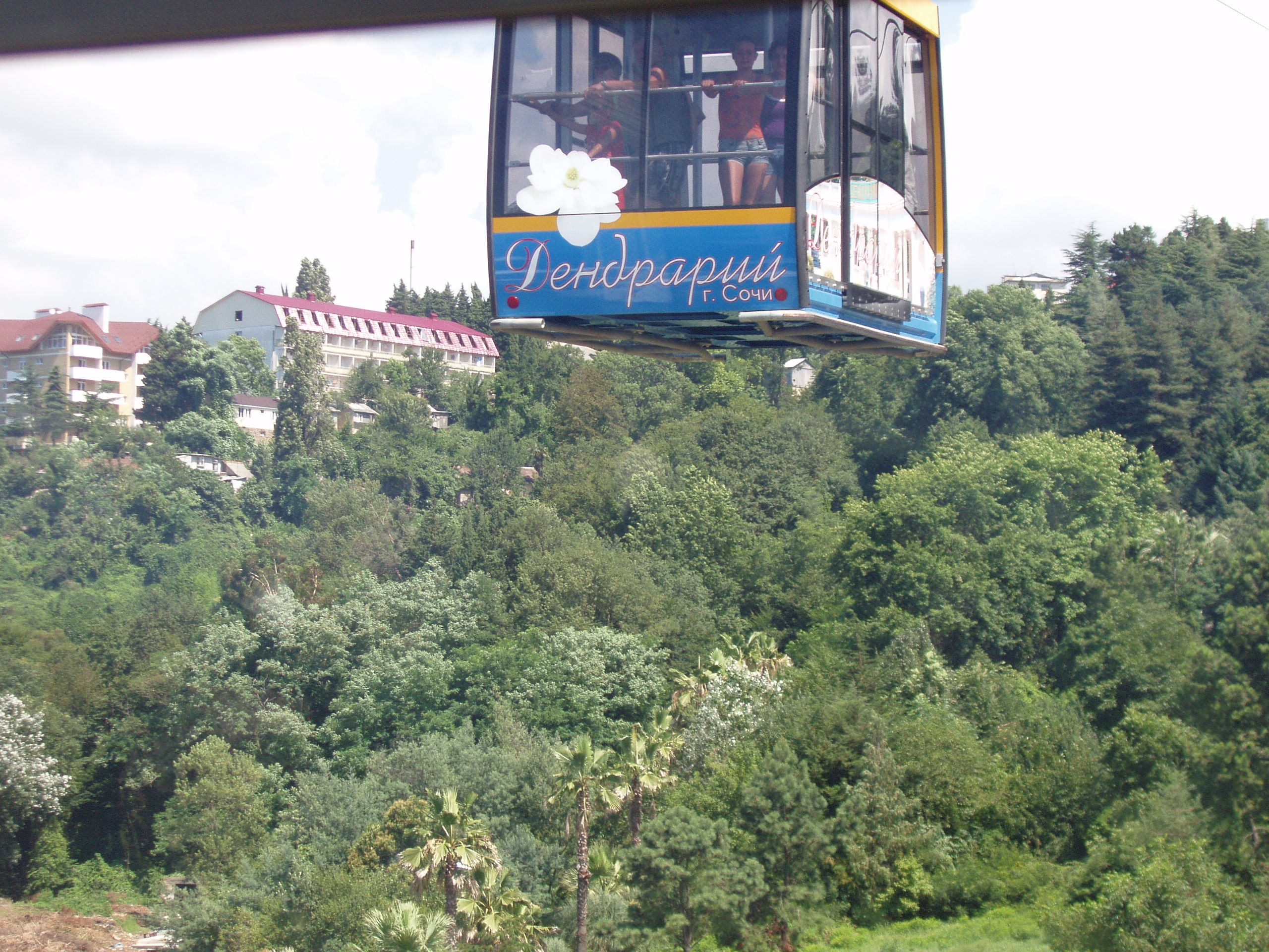 Отпуск 13.07-24.08. Семейный, Свадебный фотограф СПБ Питер— Романова Екатерина