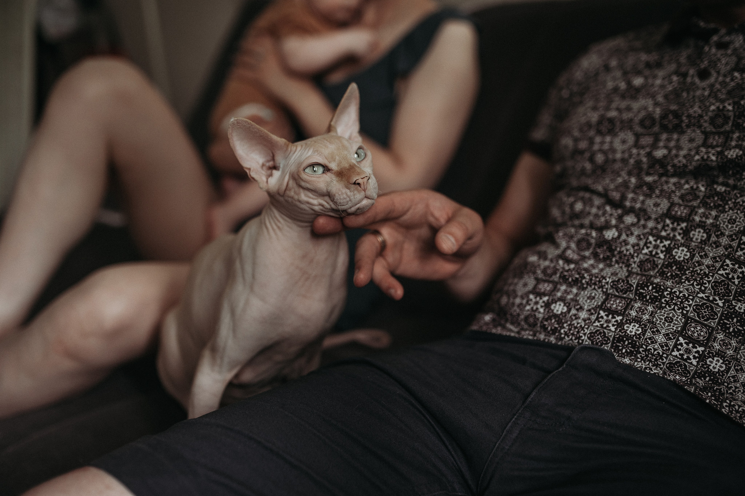 Меленькая Ксюша. Www.ostermiller.ru