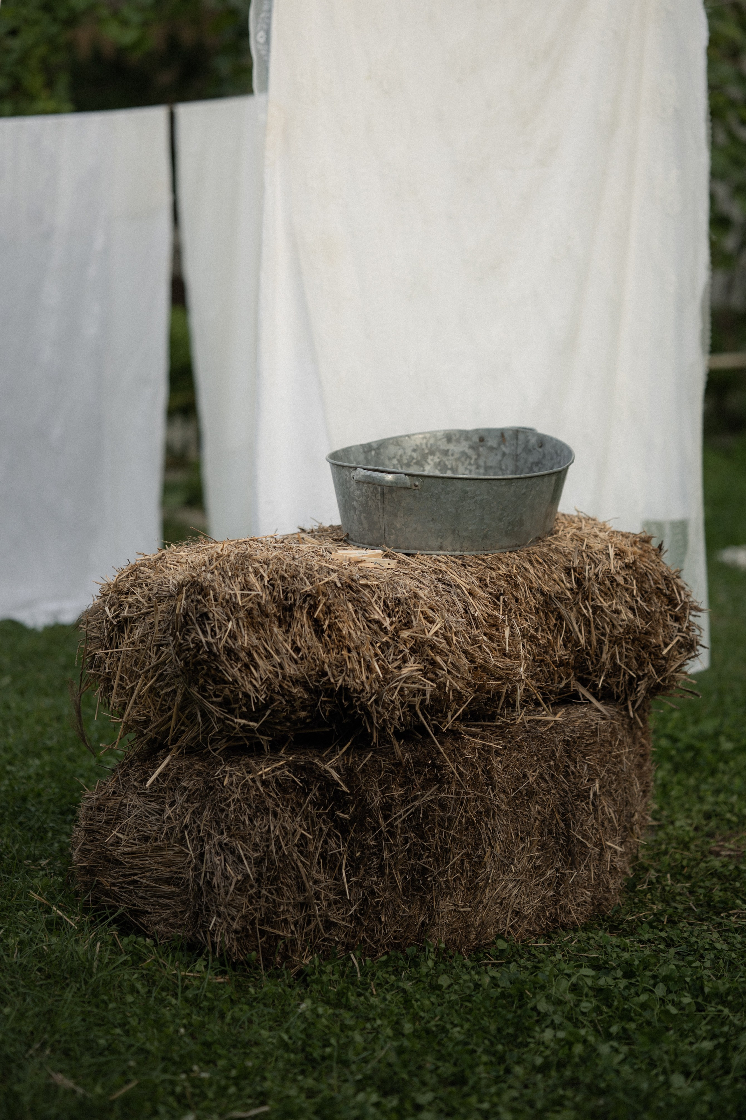 Оля, Злата, Ксюша. Www.ostermiller.ru