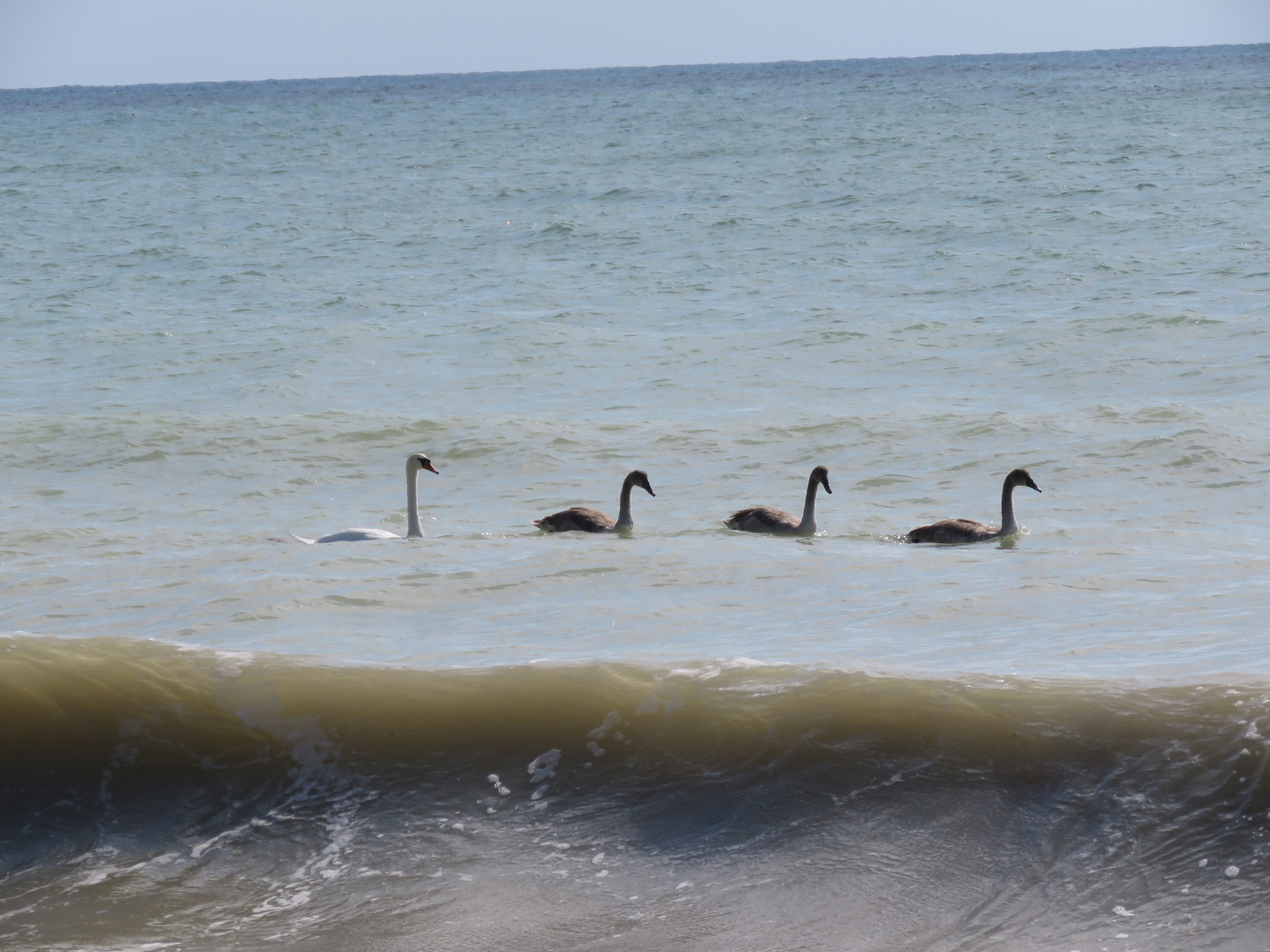 Мамочка дорогая, Царствие Небесное!. Собор Отрасли