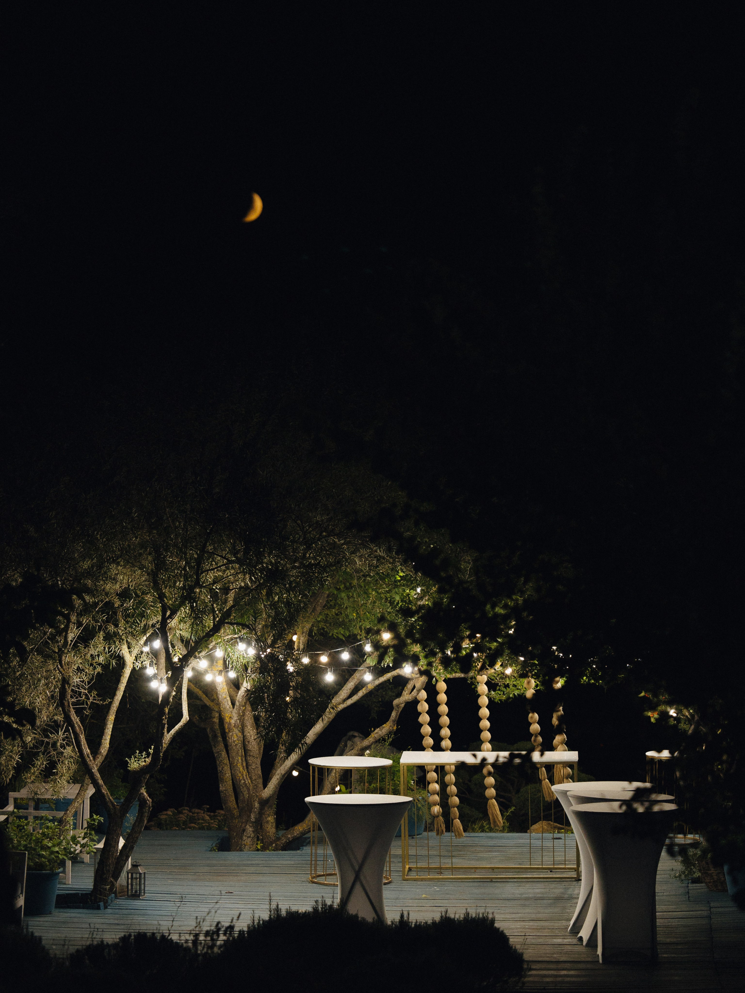 Денис и Софья / Ставрополь. Свадебный фотограф Жанна Албегова