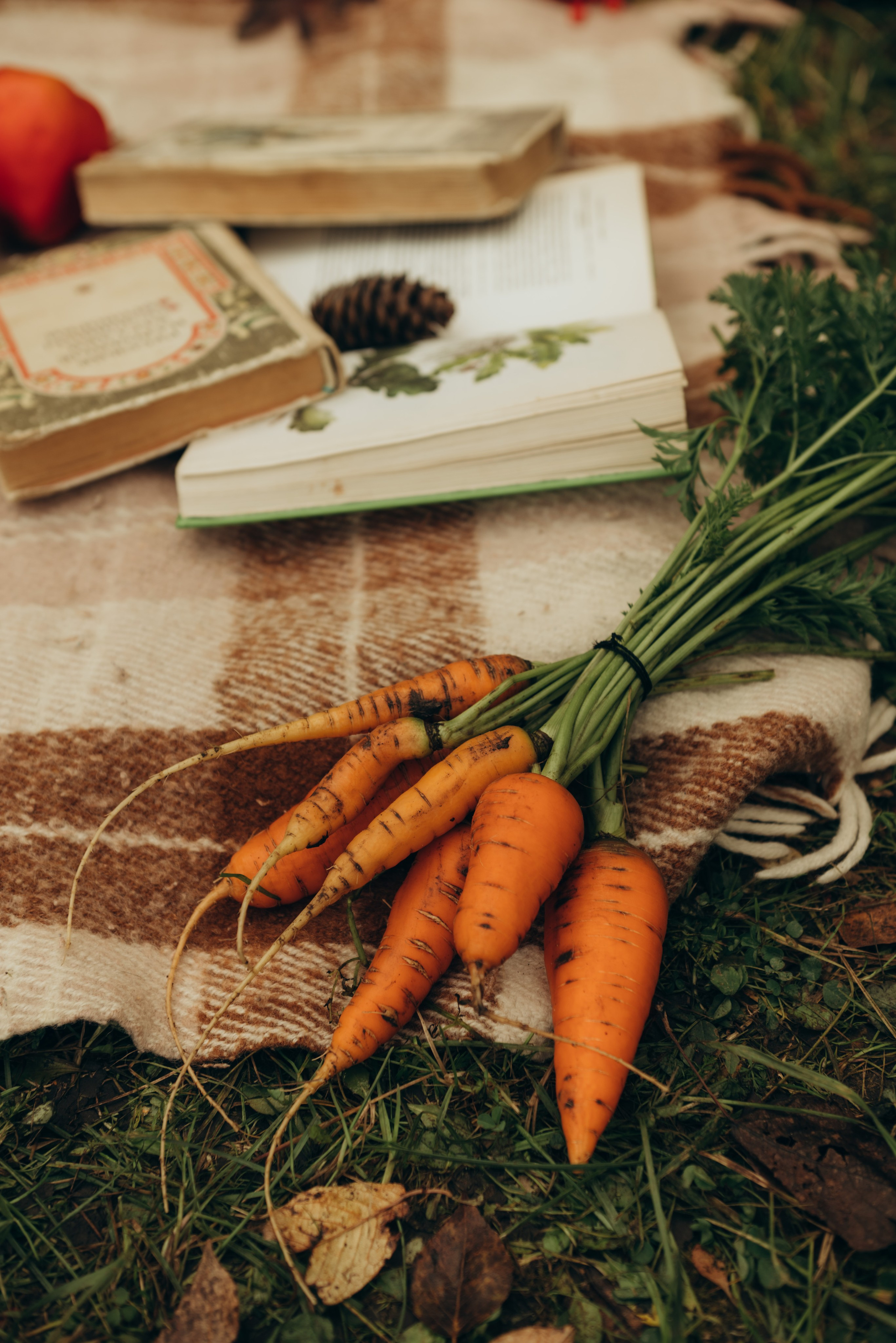 Семейные истории. Фотограф в Томске Мария Март