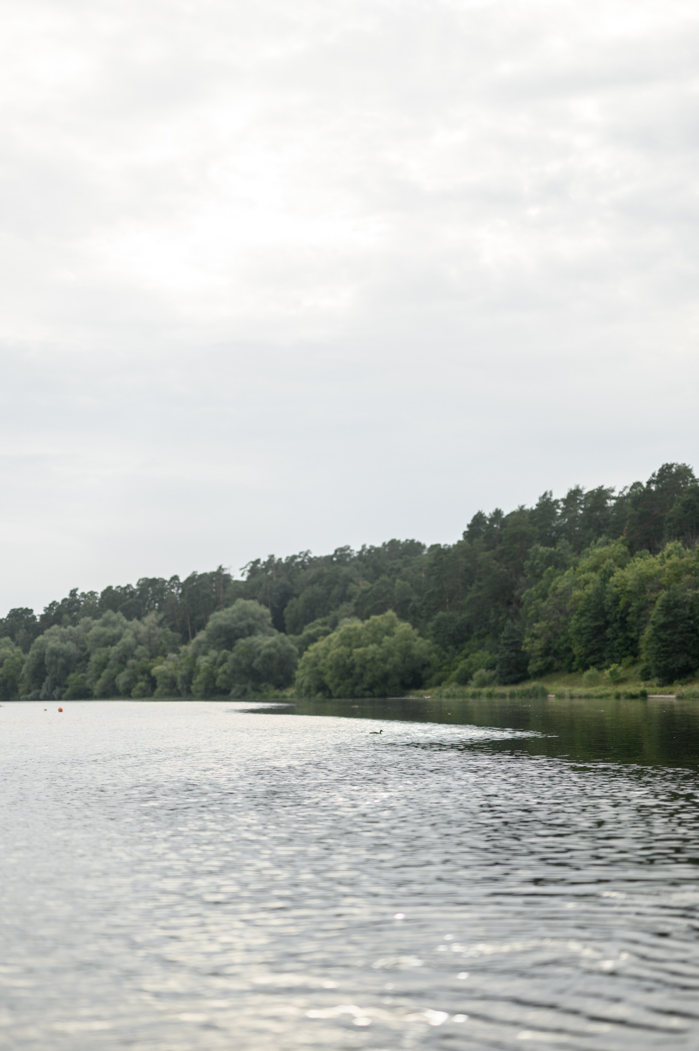 Свадьба для двоих в Москва-Сити и Барвихе luxury village. Semerlina.ru