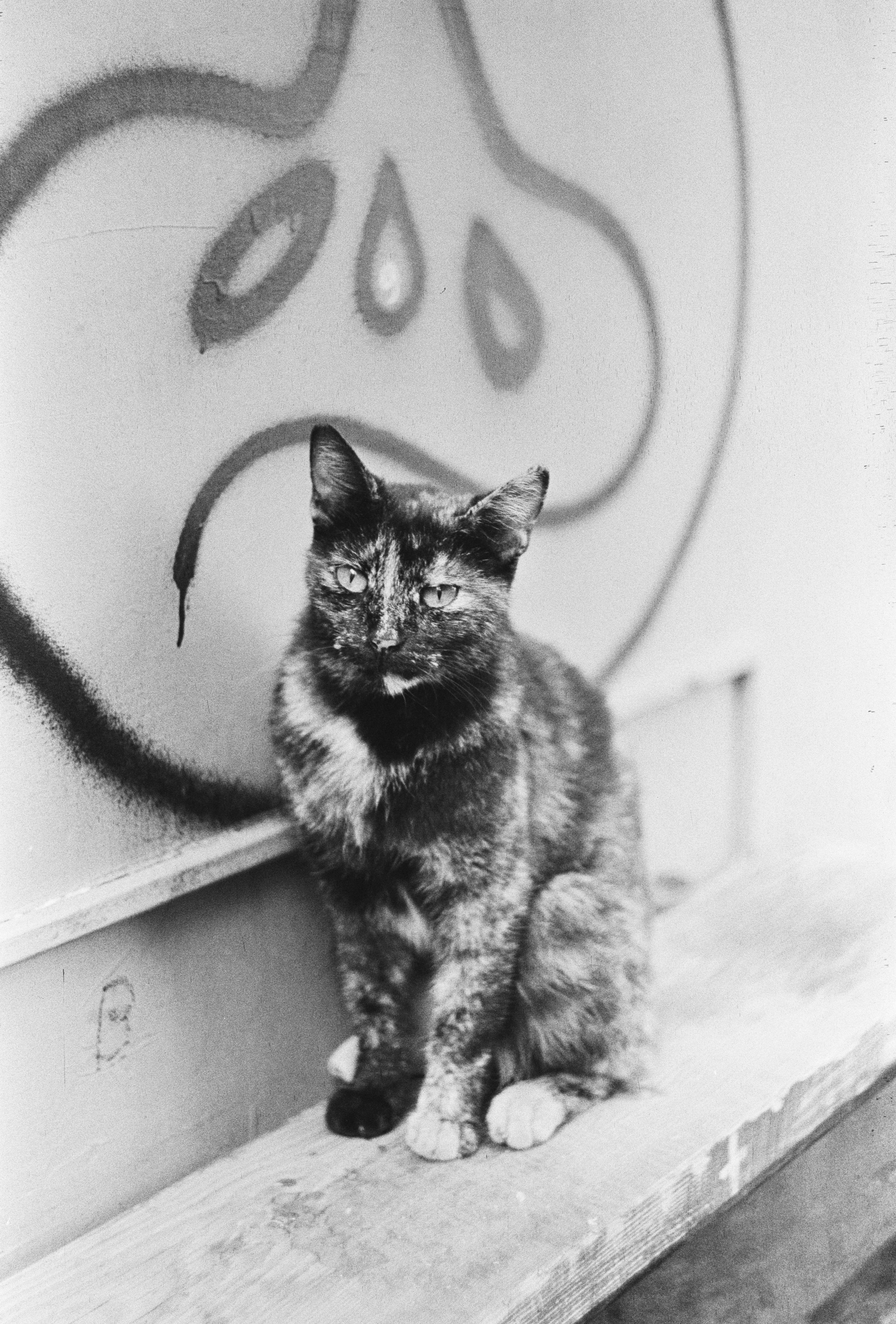 Street/Стрит. VladGauss | Photographer/Videographer