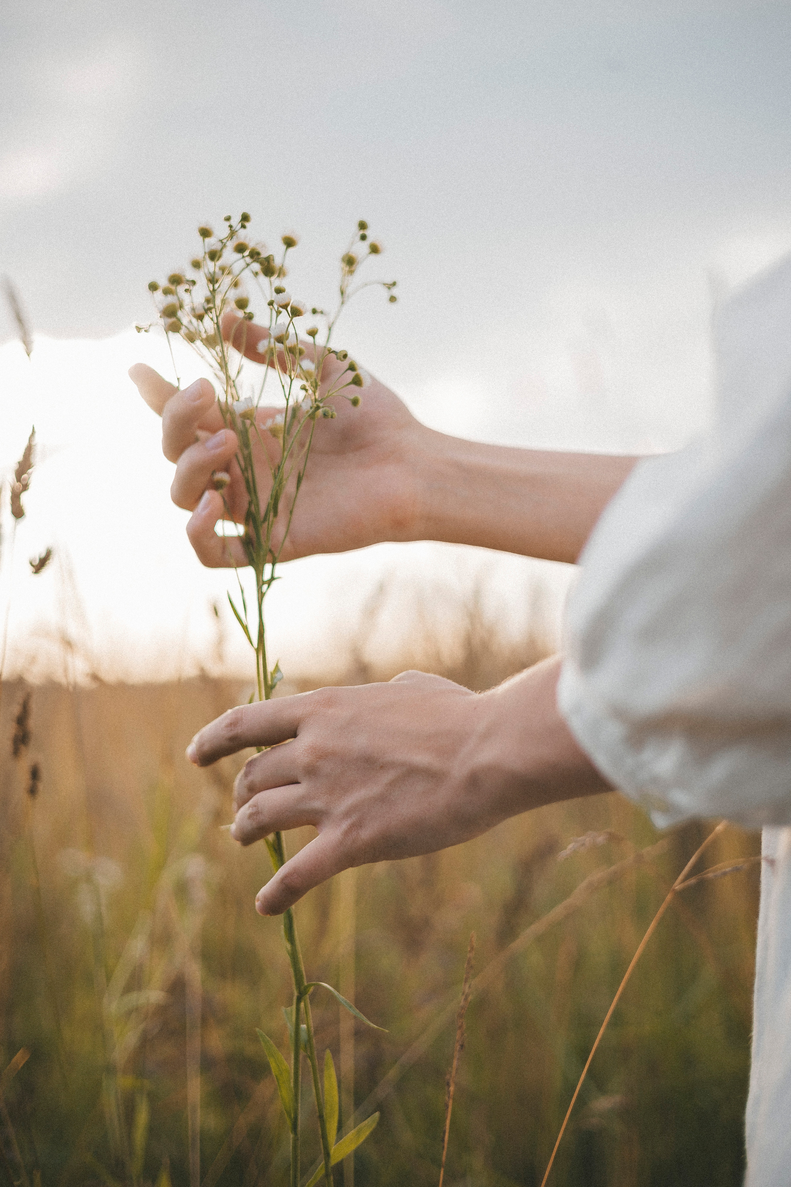 Индивидуальная фотосессия в поле. Семейный фотограф в Москве Екатерина Цаплина