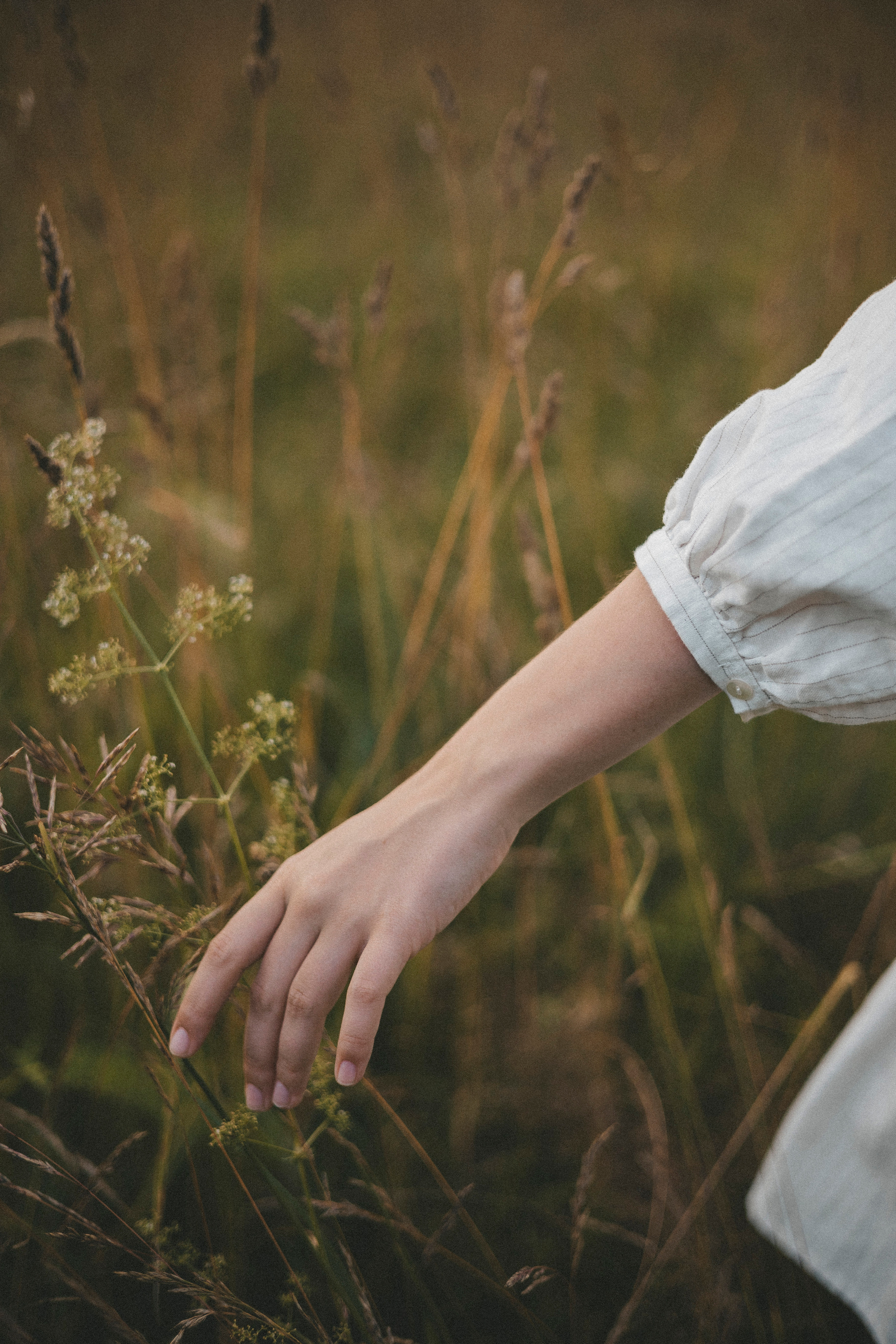 Индивидуальная фотосессия в поле. Семейный фотограф в Москве Екатерина Цаплина