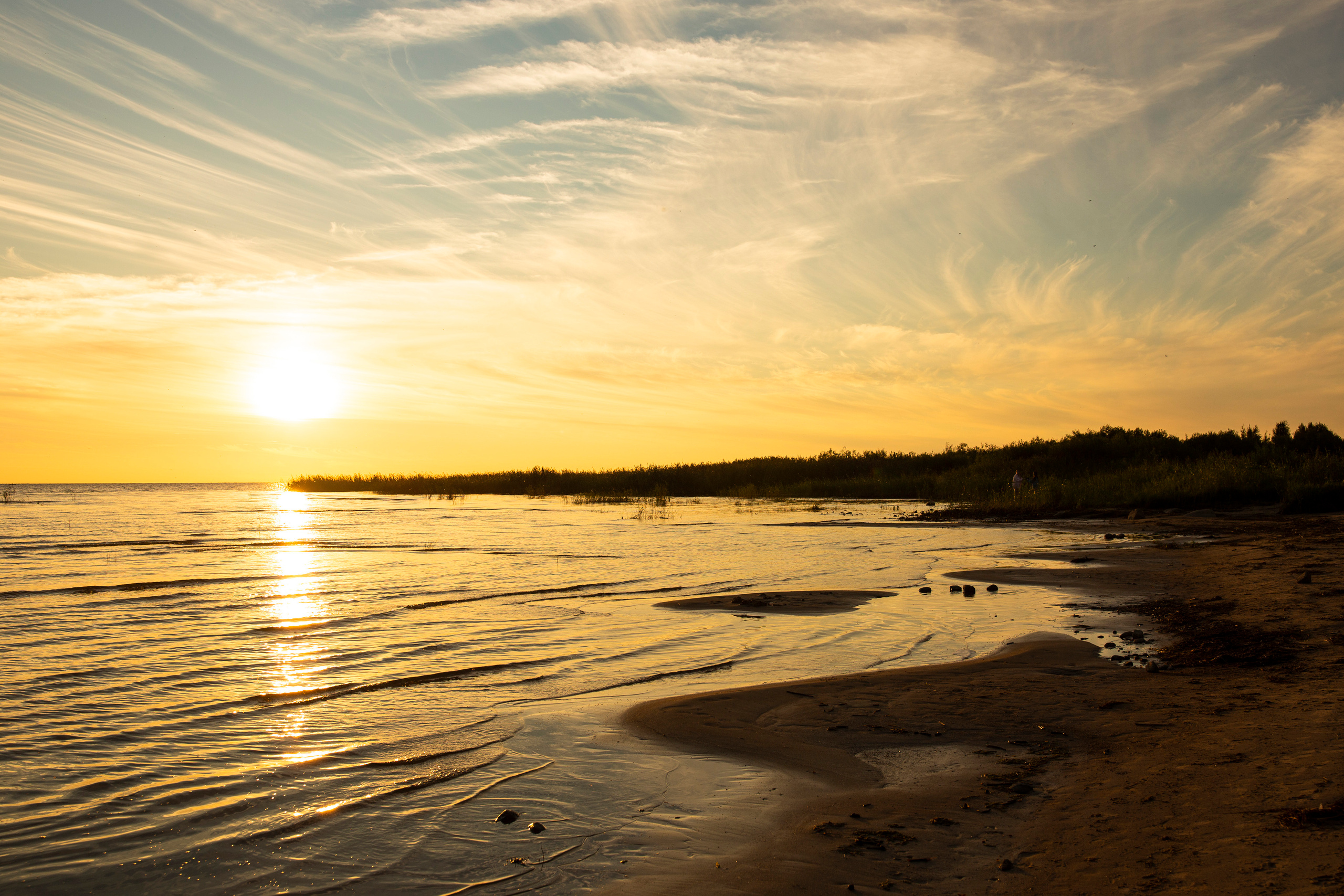 Репортаж. Псковская область. Семейный фотограф в Москве Екатерина Цаплина