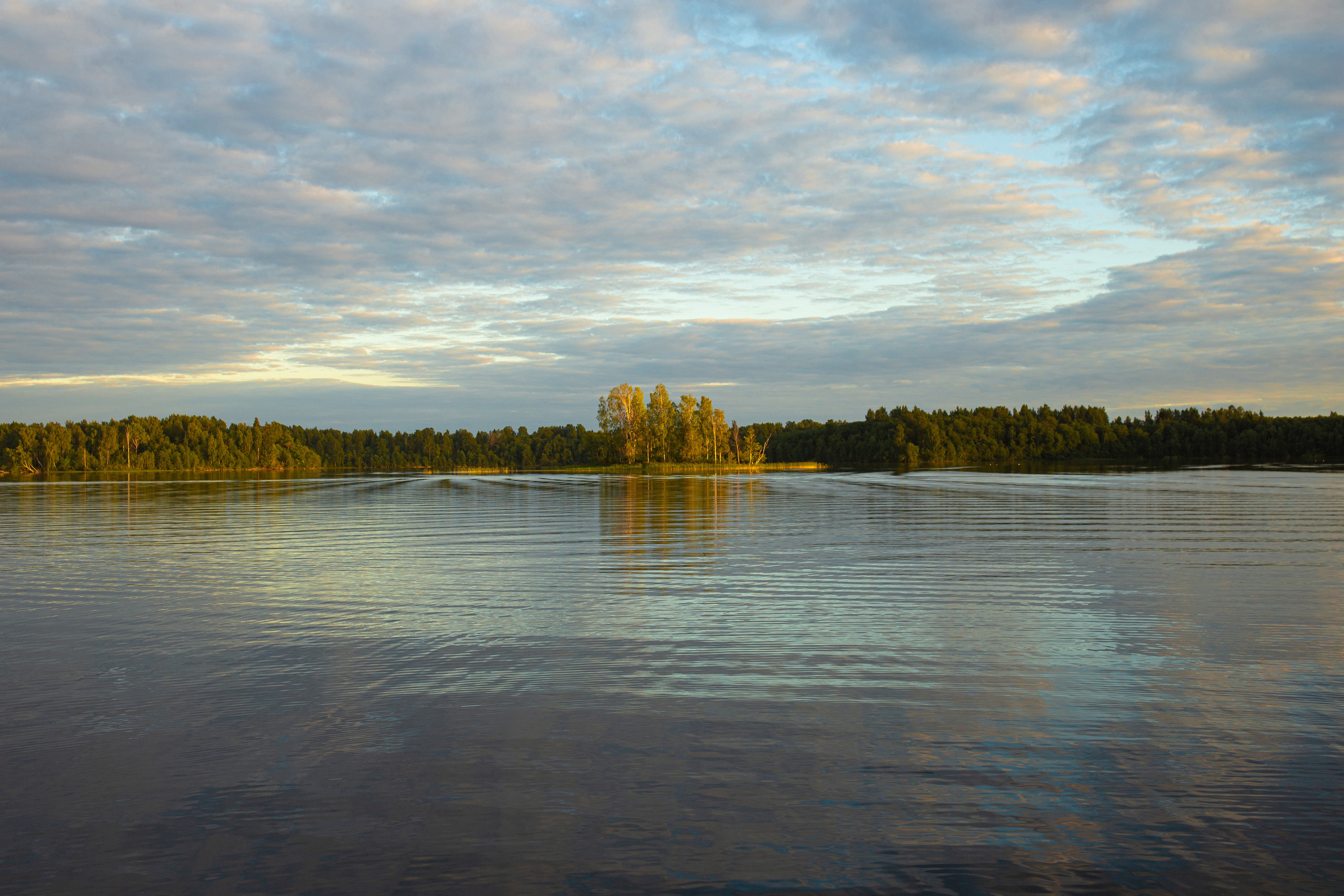 Репортаж. Псковская область. Семейный фотограф в Москве Екатерина Цаплина