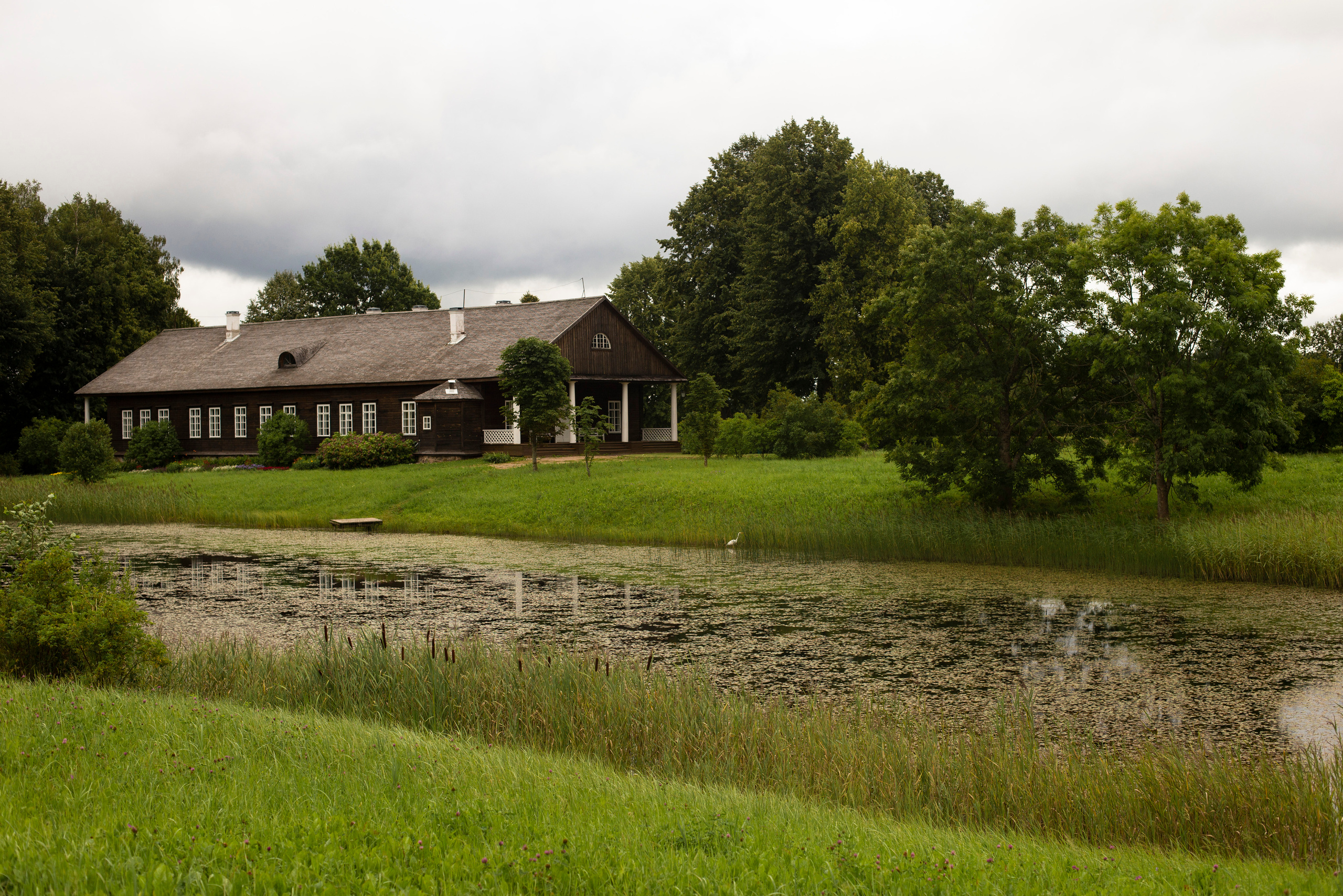 Репортаж. Псковская область. Семейный фотограф в Москве Екатерина Цаплина