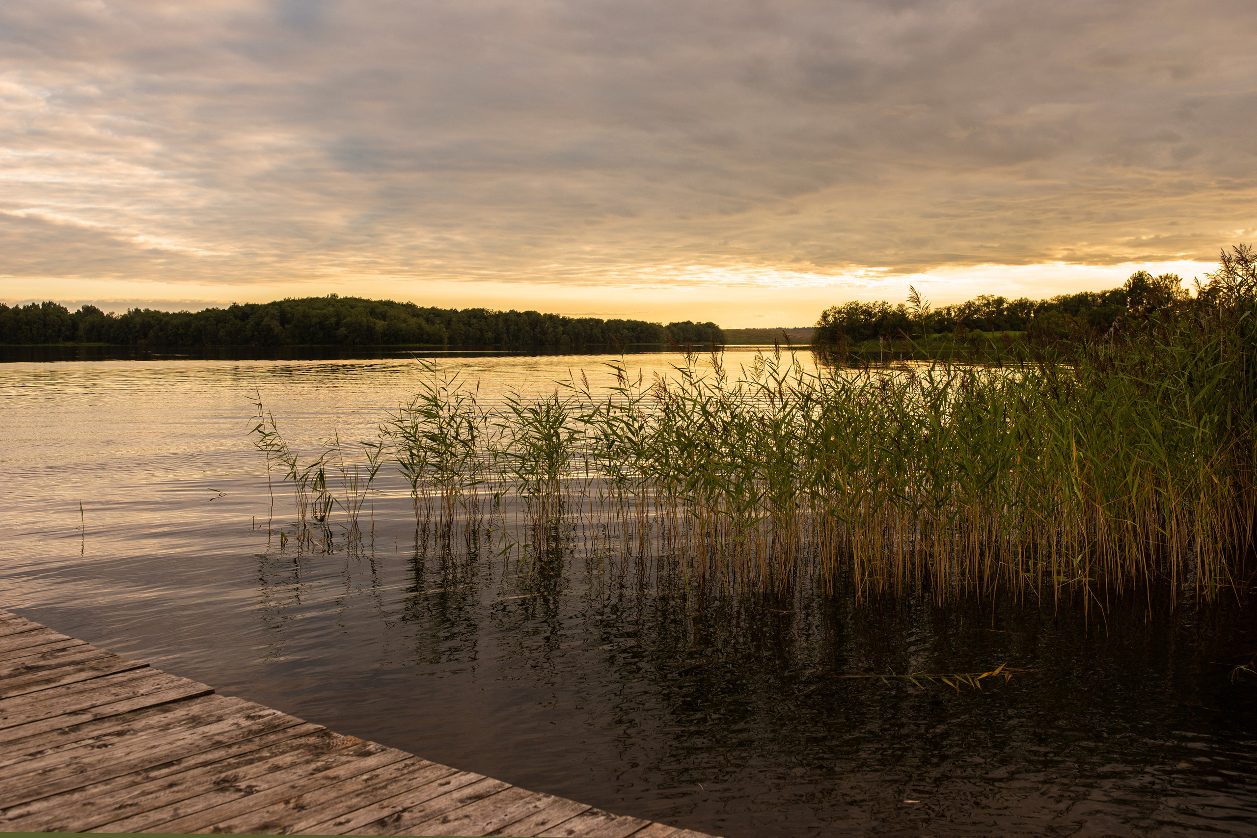 Репортаж. Псковская область. Семейный фотограф в Москве Екатерина Цаплина