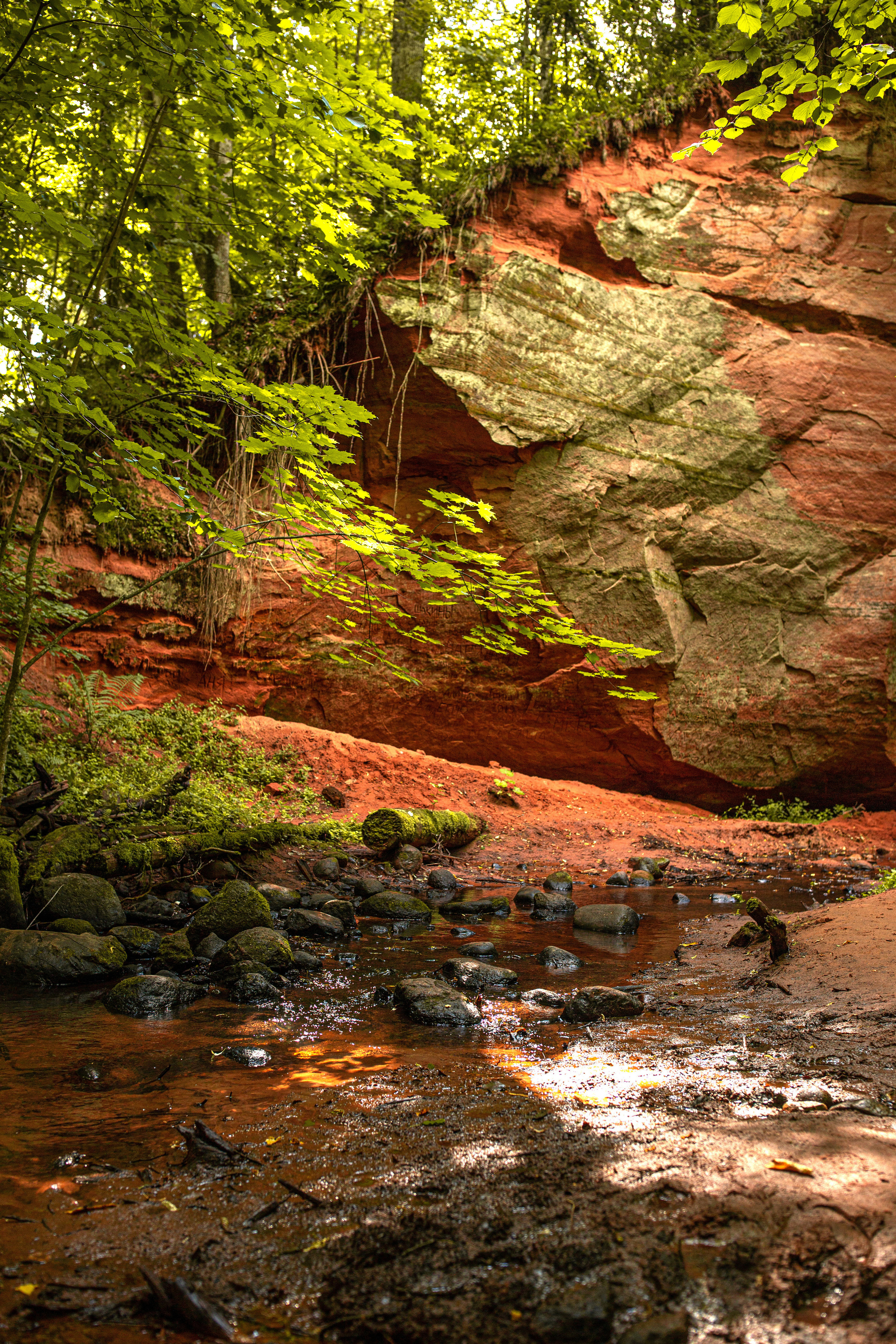 Репортаж. Псковская область. Семейный фотограф в Москве Екатерина Цаплина