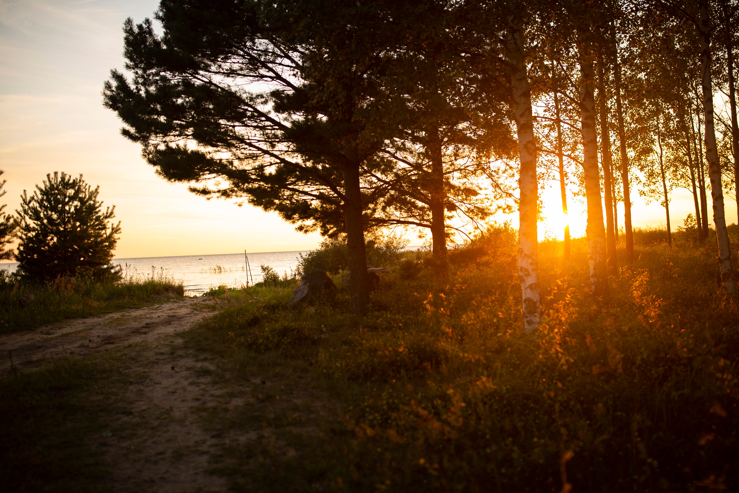 Репортаж. Псковская область. Семейный фотограф в Москве Екатерина Цаплина