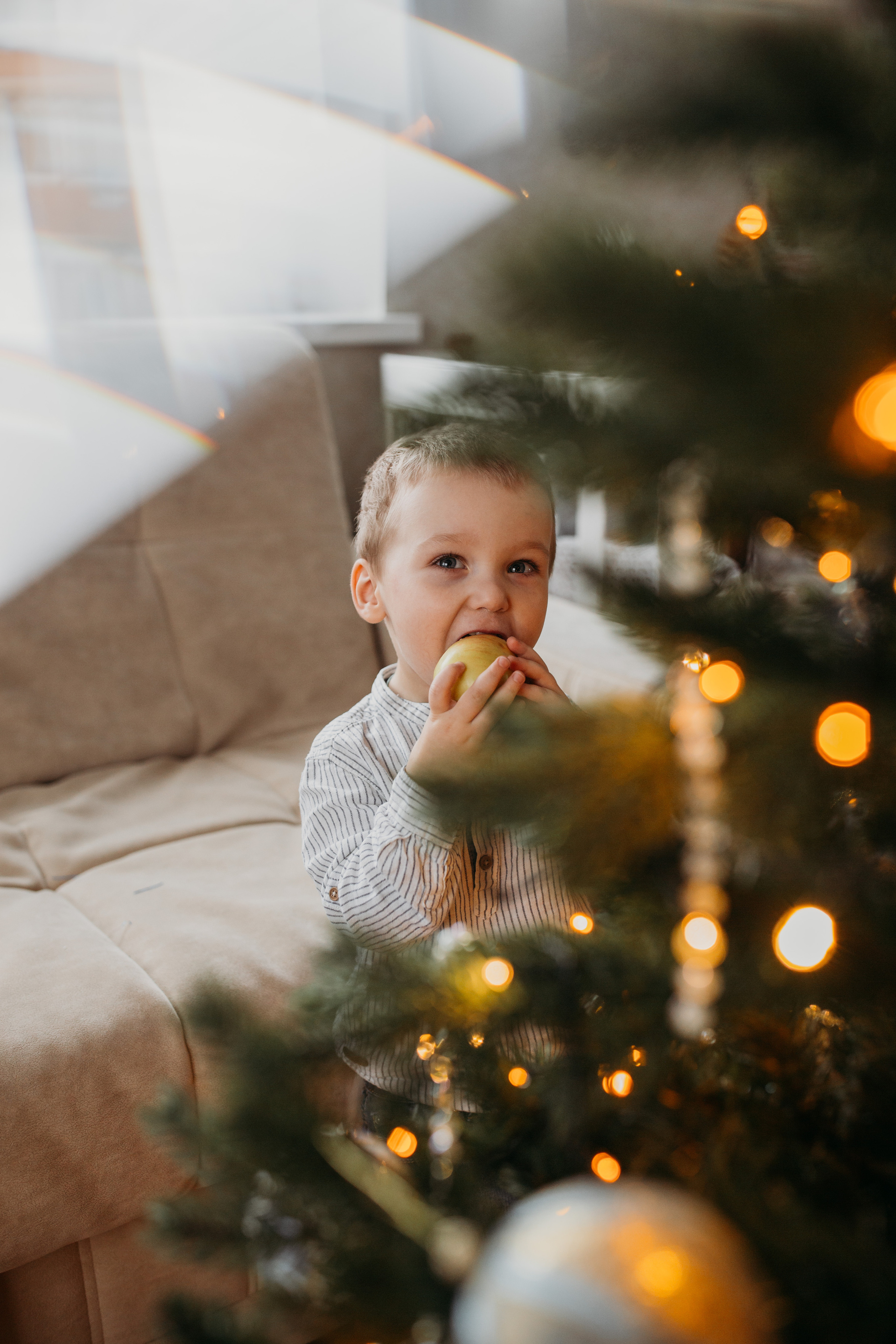 Семейная фотосессия дома. Семейный фотограф в Москве Екатерина Цаплина