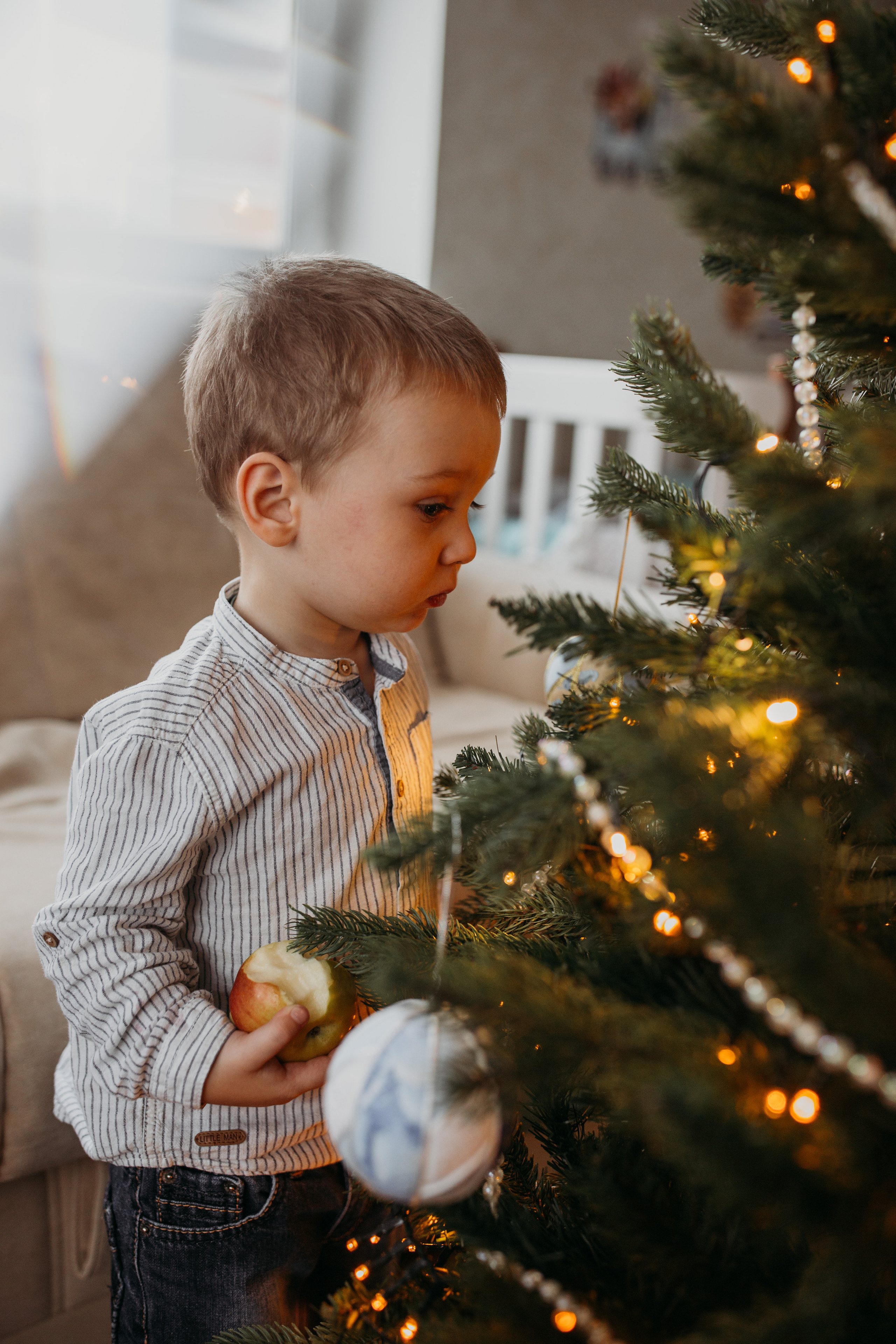 Семейная фотосессия дома. Семейный фотограф в Москве Екатерина Цаплина