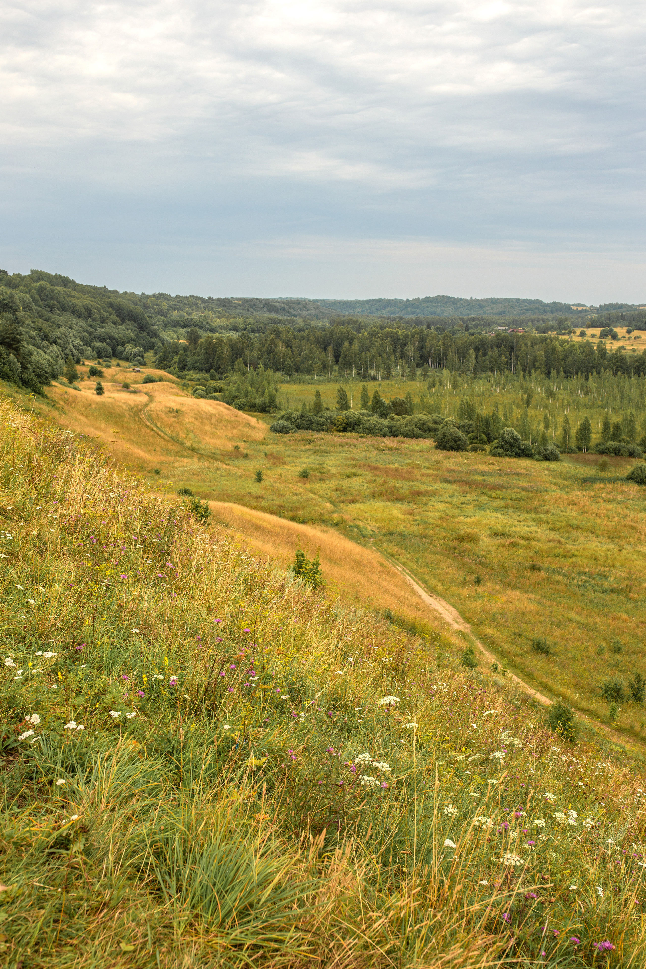 Репортаж. Псковская область. Семейный фотограф в Москве Екатерина Цаплина