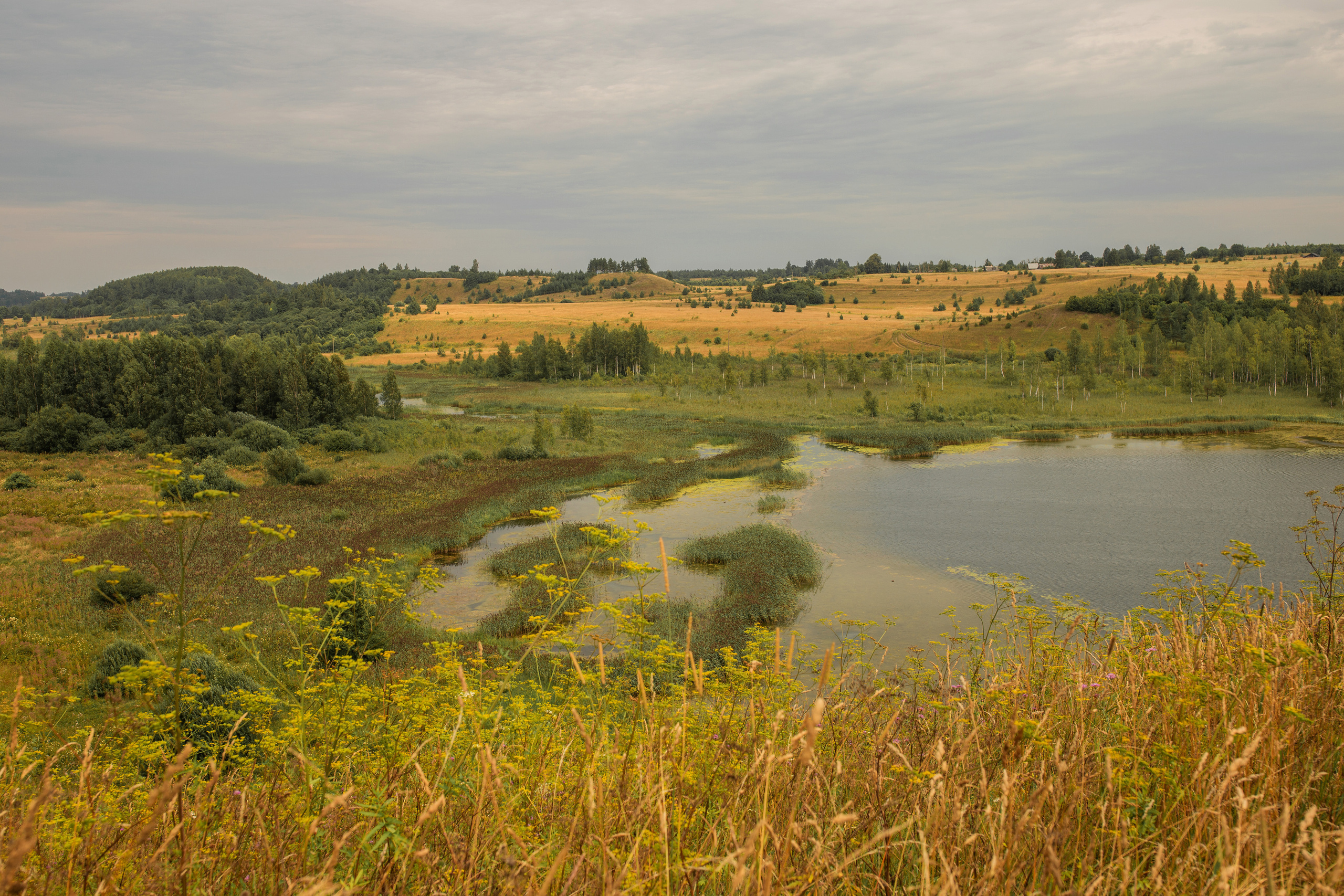 Репортаж. Псковская область. Семейный фотограф в Москве Екатерина Цаплина