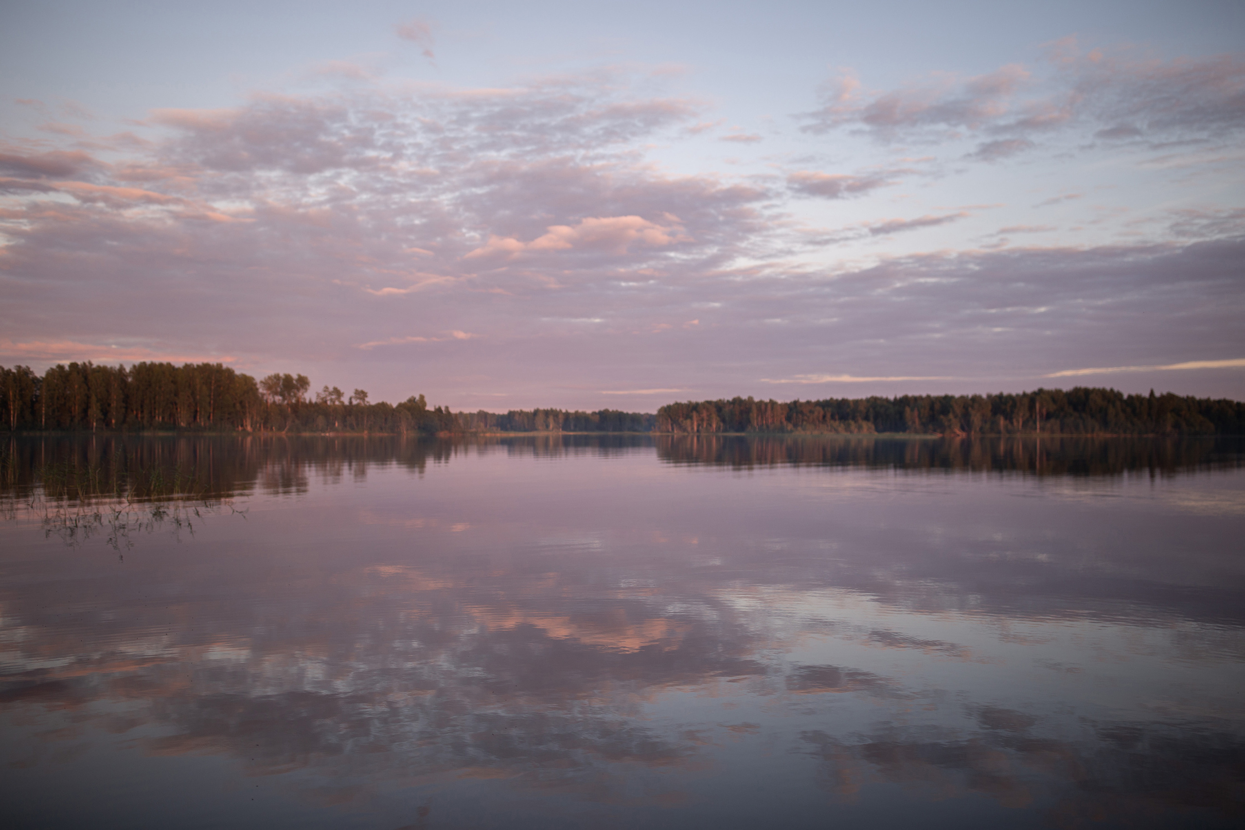 Репортаж. Псковская область. Семейный фотограф в Москве Екатерина Цаплина