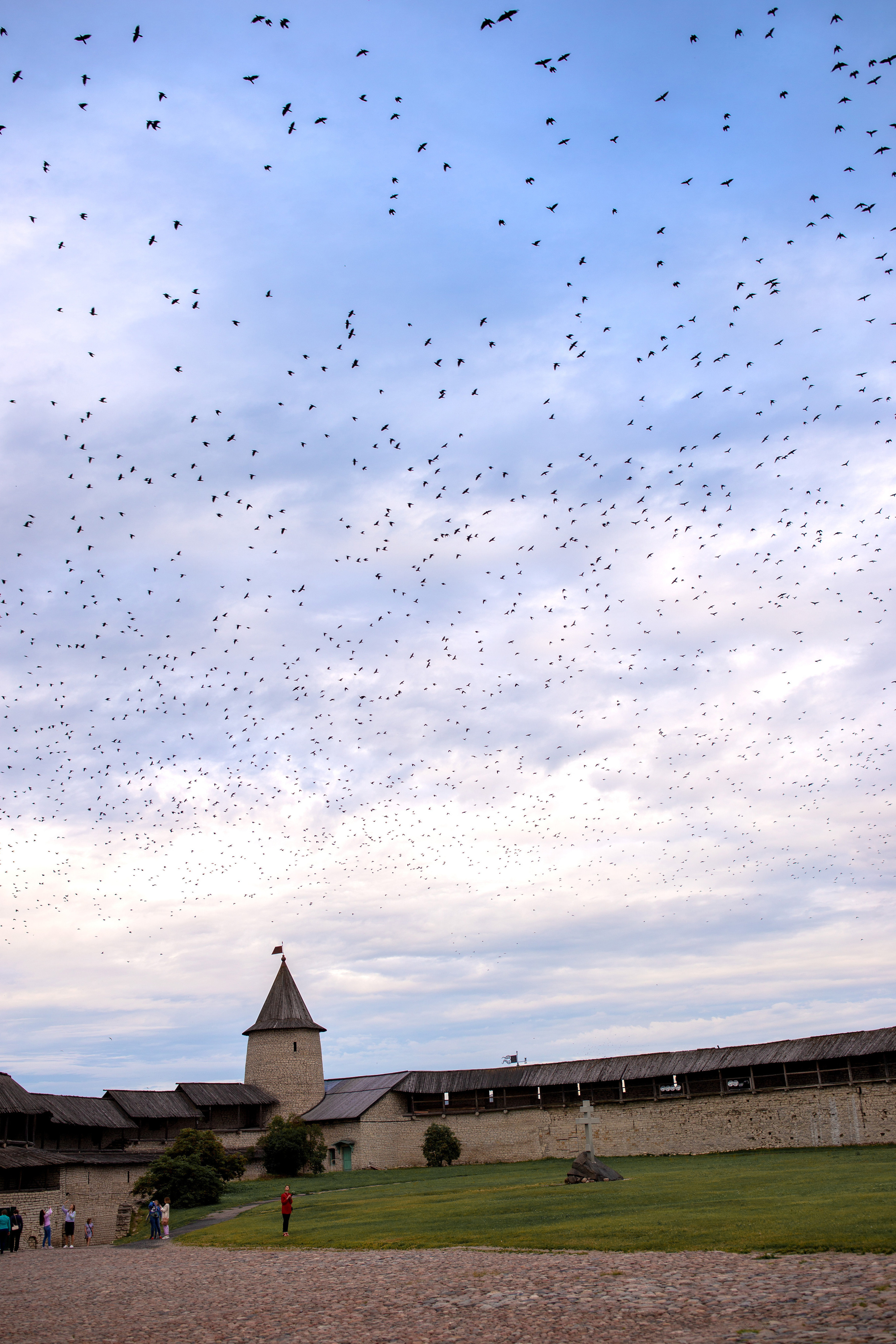 Репортаж. Псковская область. Семейный фотограф в Москве Екатерина Цаплина