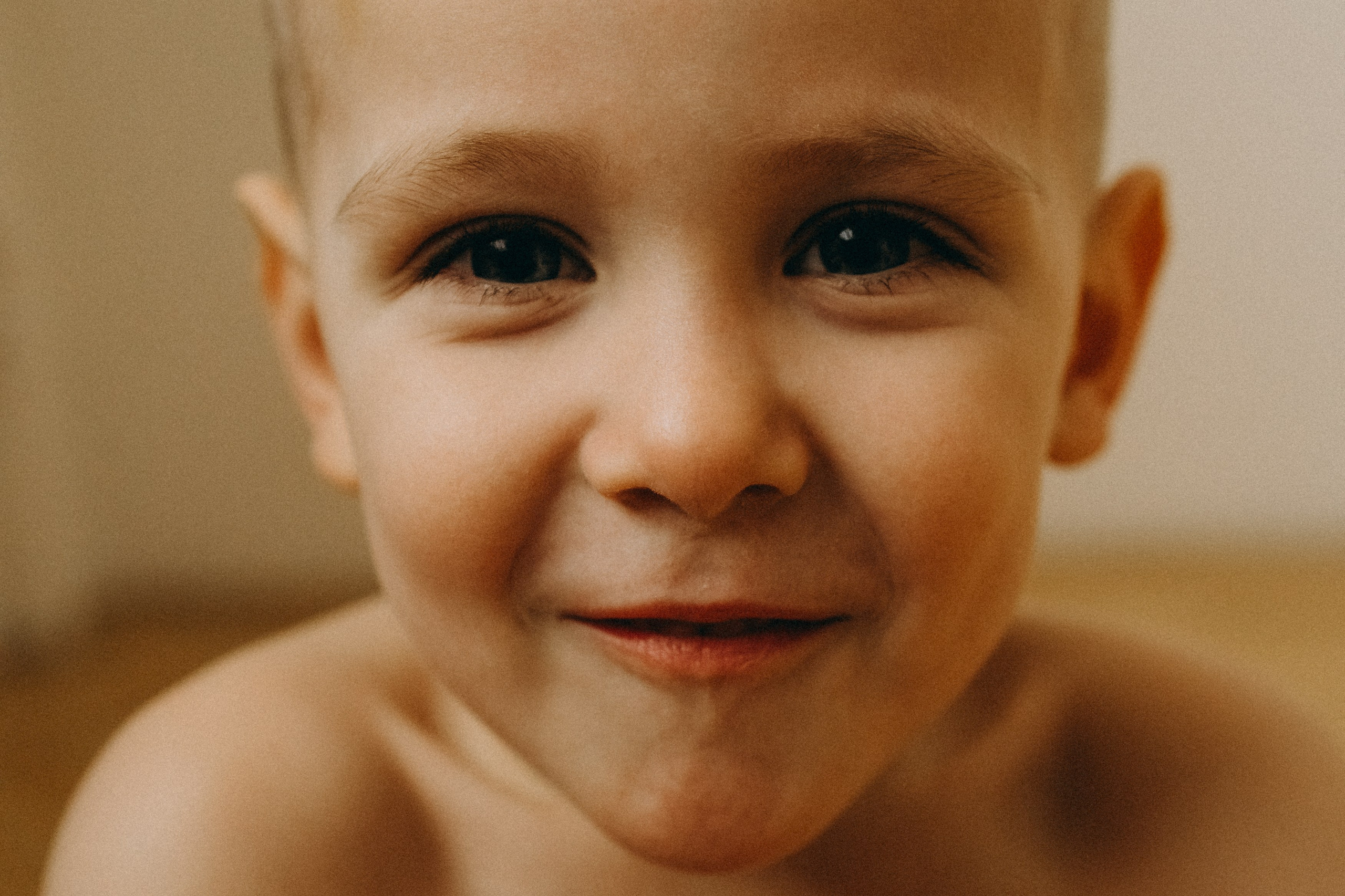 Лера, Лев. Главная