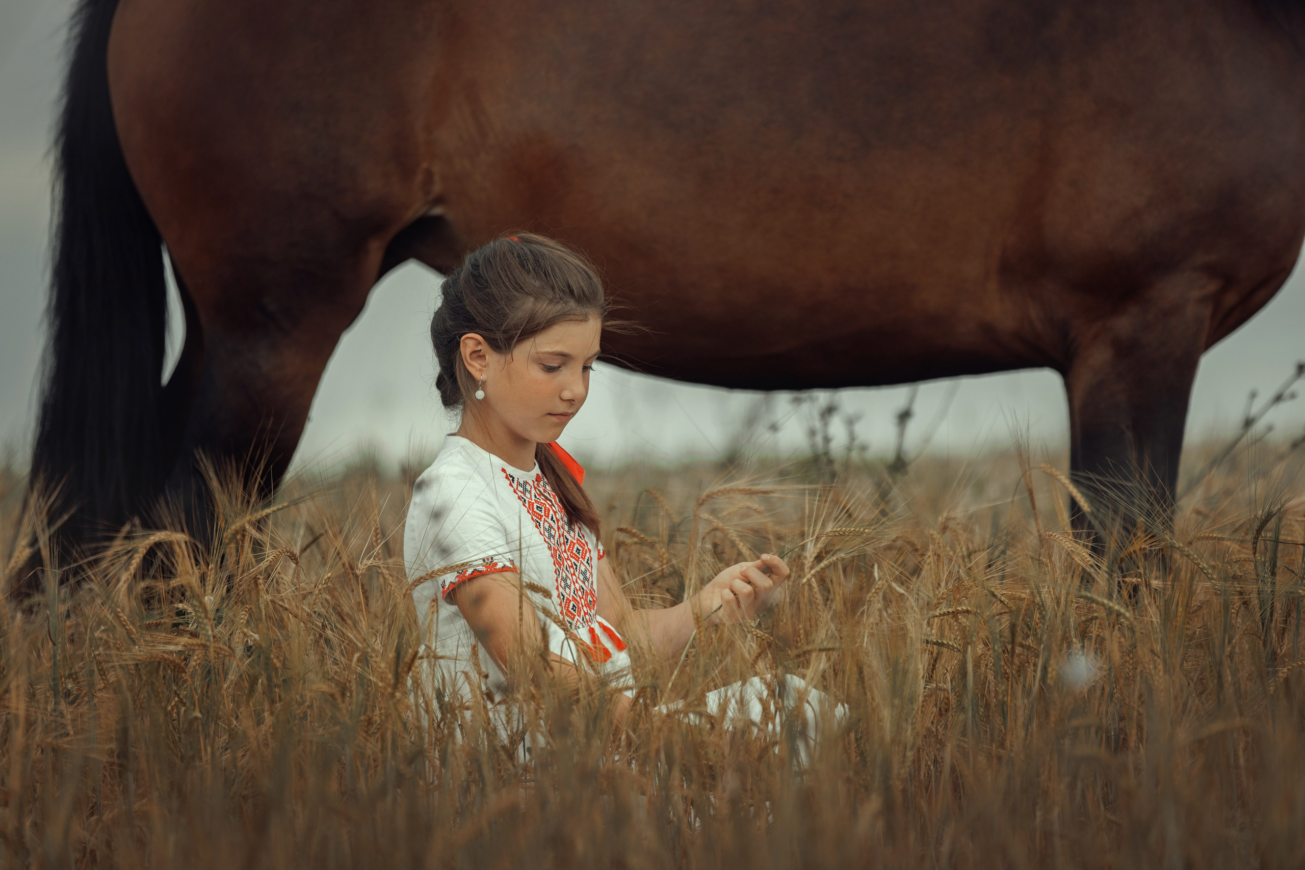 Конная съёмка. Взрослые. Детская Конная фотография в Москве Юлия Шепелева