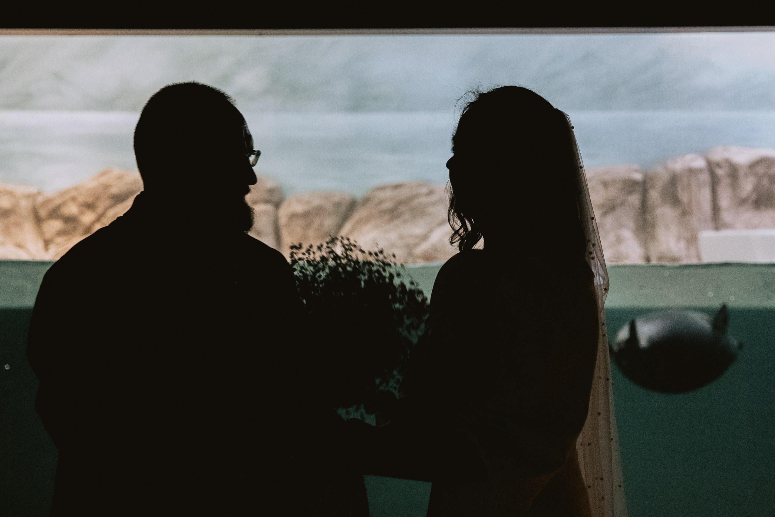 «Мгновения навсегда». Семейный и детский фотограф. Москва. Пронина Тома