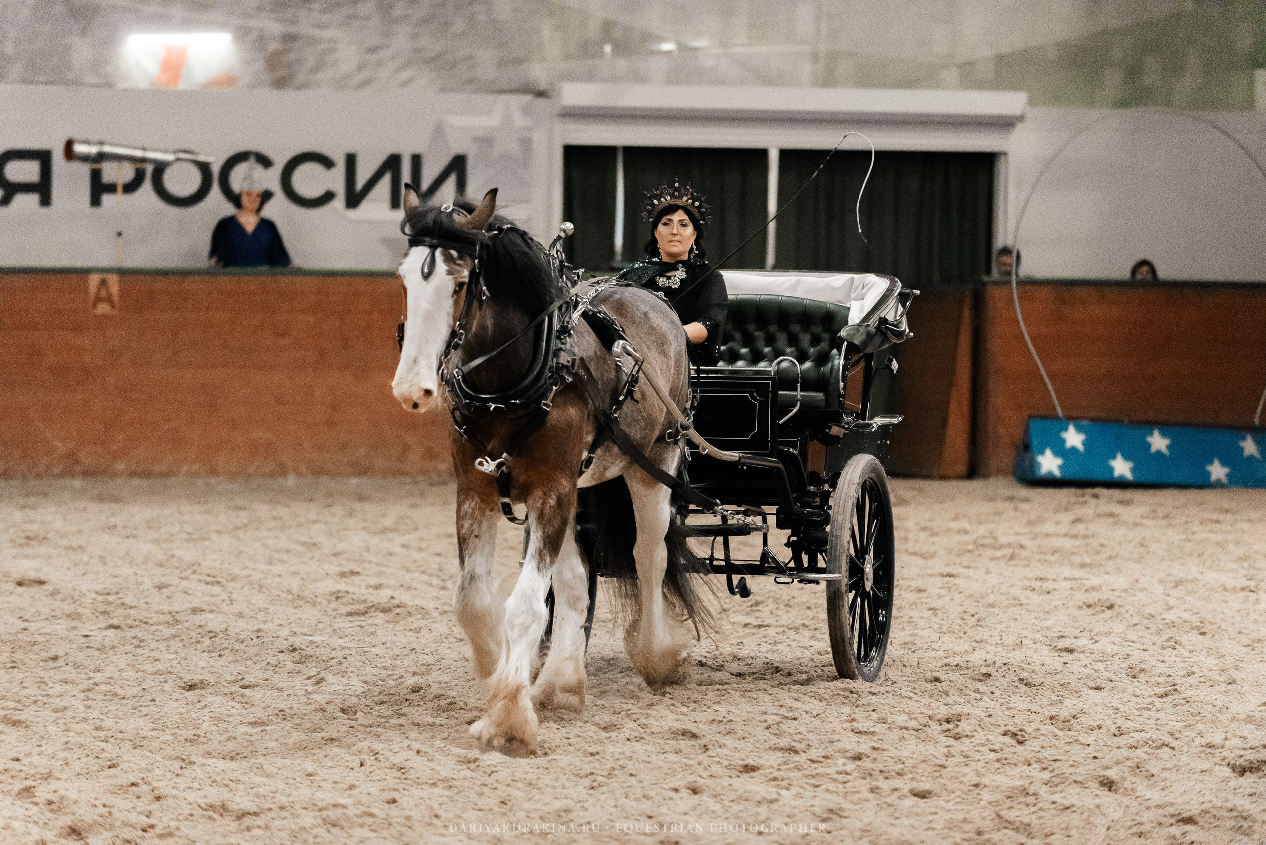 Конное представление «Дыхание Звёзд». Конный фотограф Куракина Дарья • Фотосессии с лошадьми