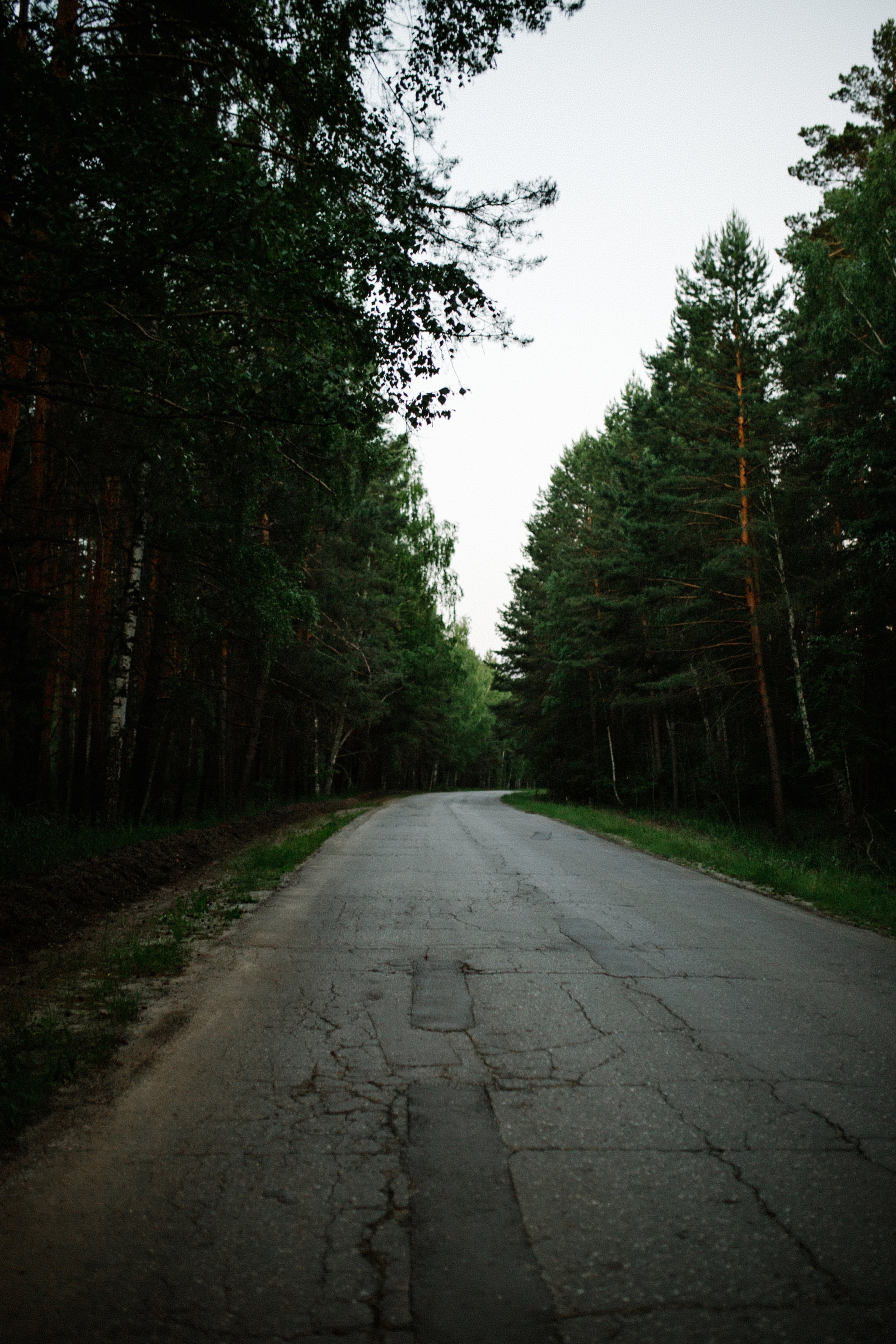 Вера и Илья. Семейный и детский фотограф в Рязани Екатерина Воронцова