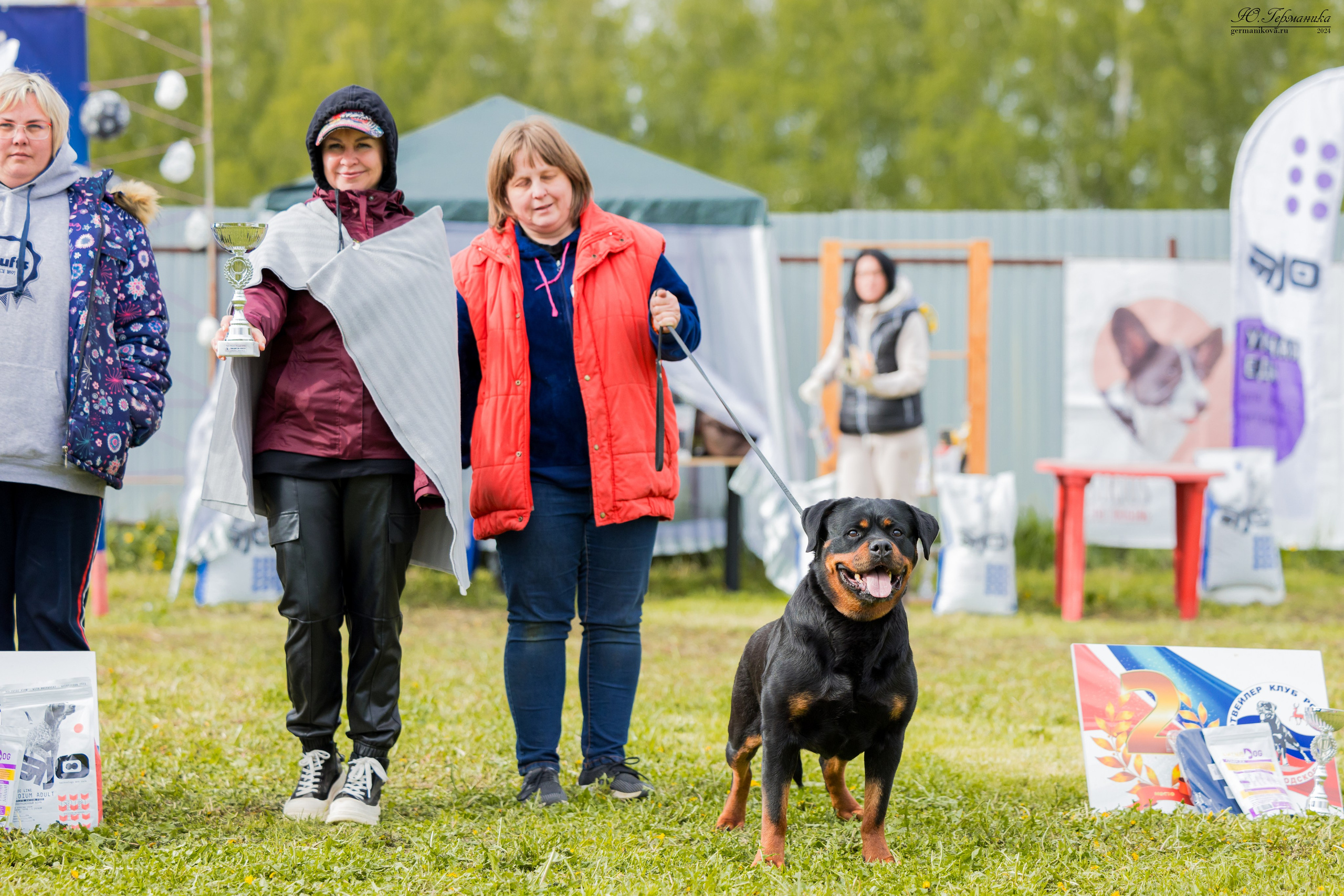 Нижний Новгород 11-12.05.2024 моно ротвейлеров. Фотограф-анималист Юлия Германика