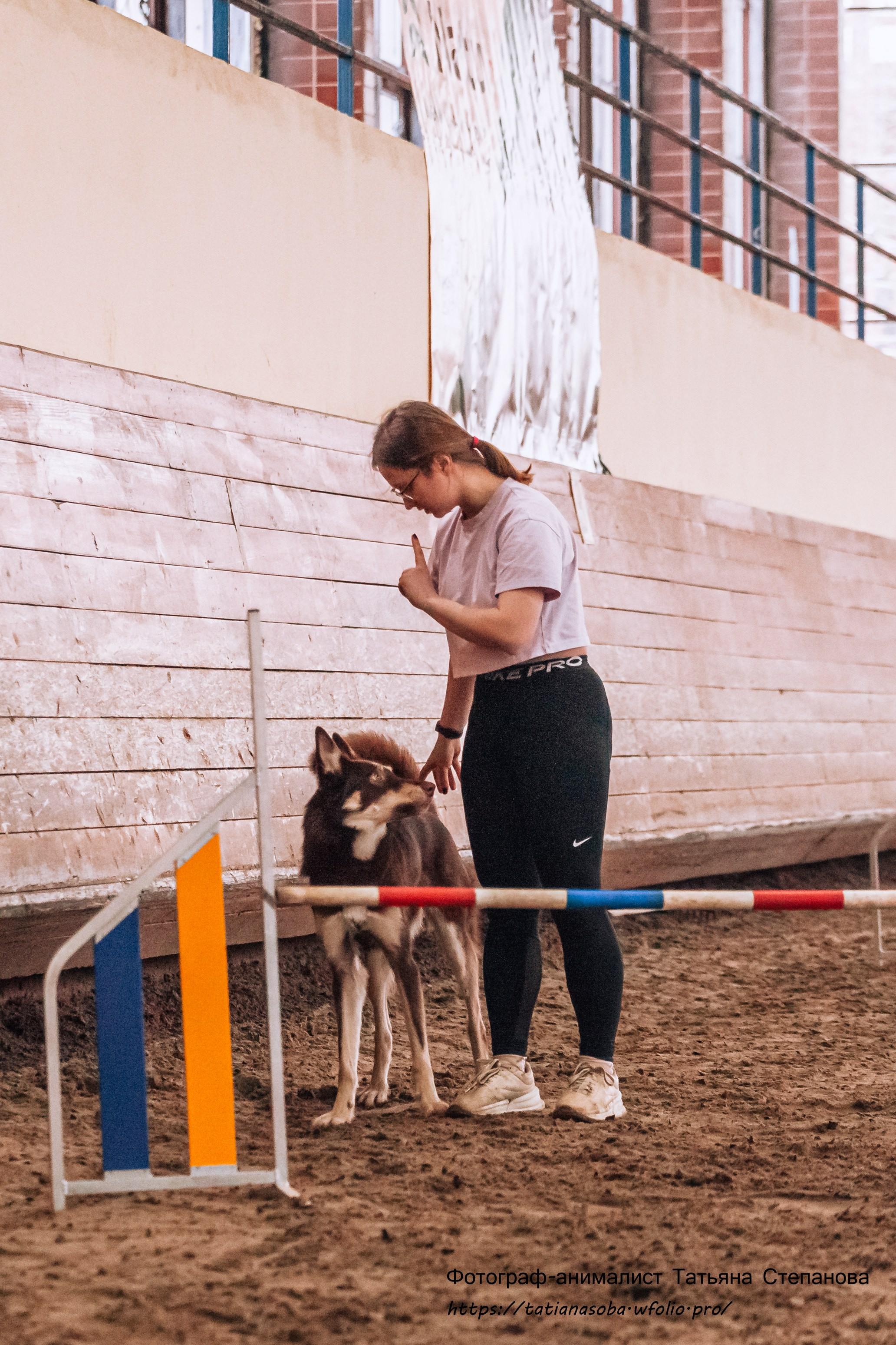 Соревнования по Аджилити 25.02.2024. Фотограф-анималист Татьяна Степанова
