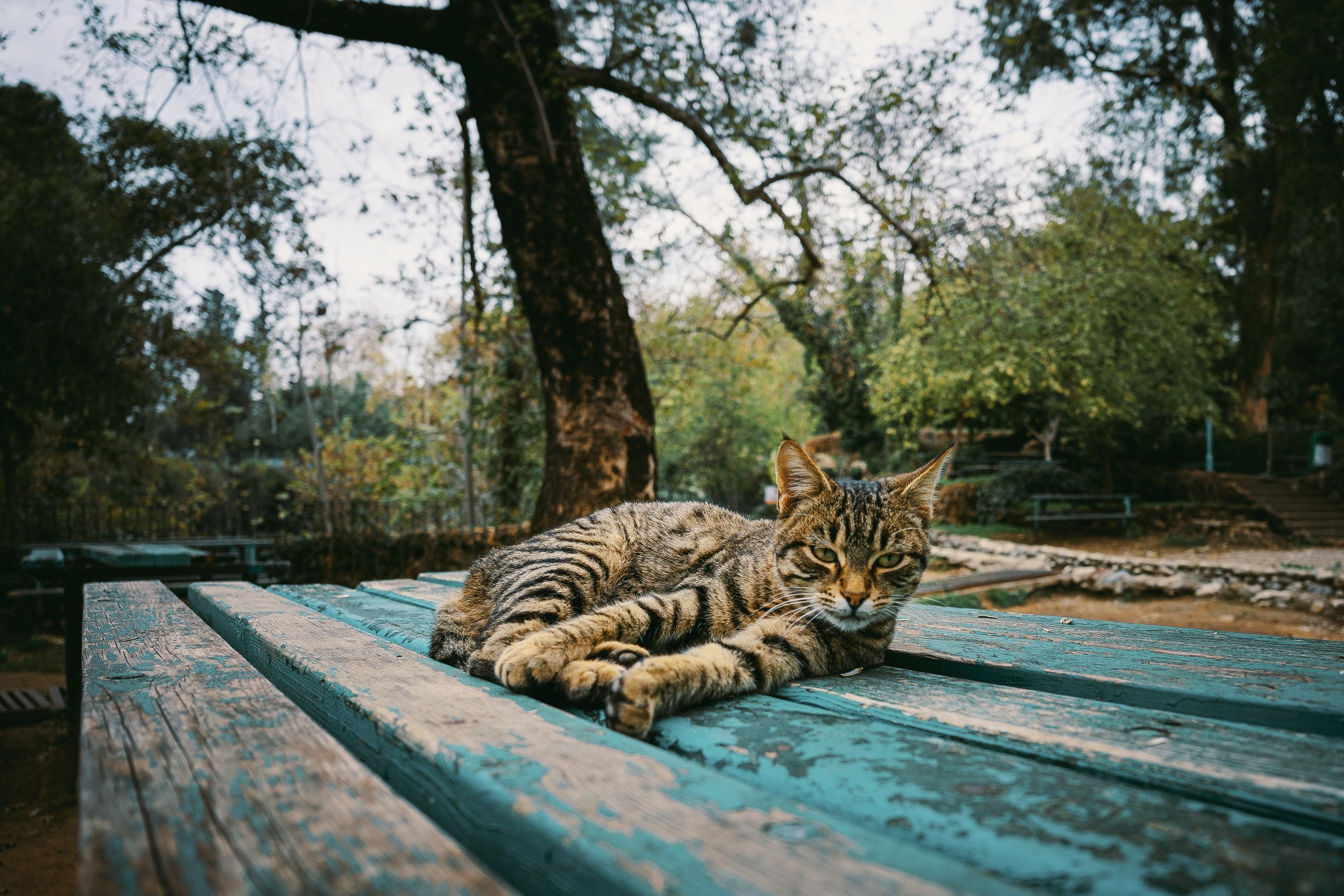 фототуры 2026