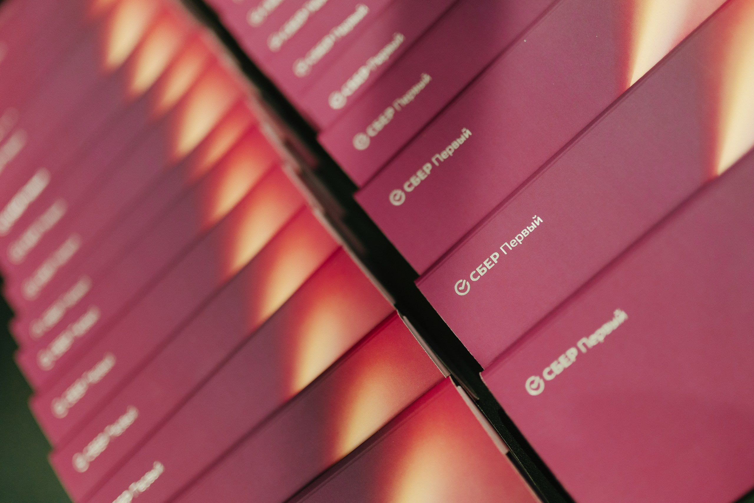 Мероприятие для клиентов Сбер Первый. Фотограф мероприятий, персональные съемки в Москве Владиславлева Настя