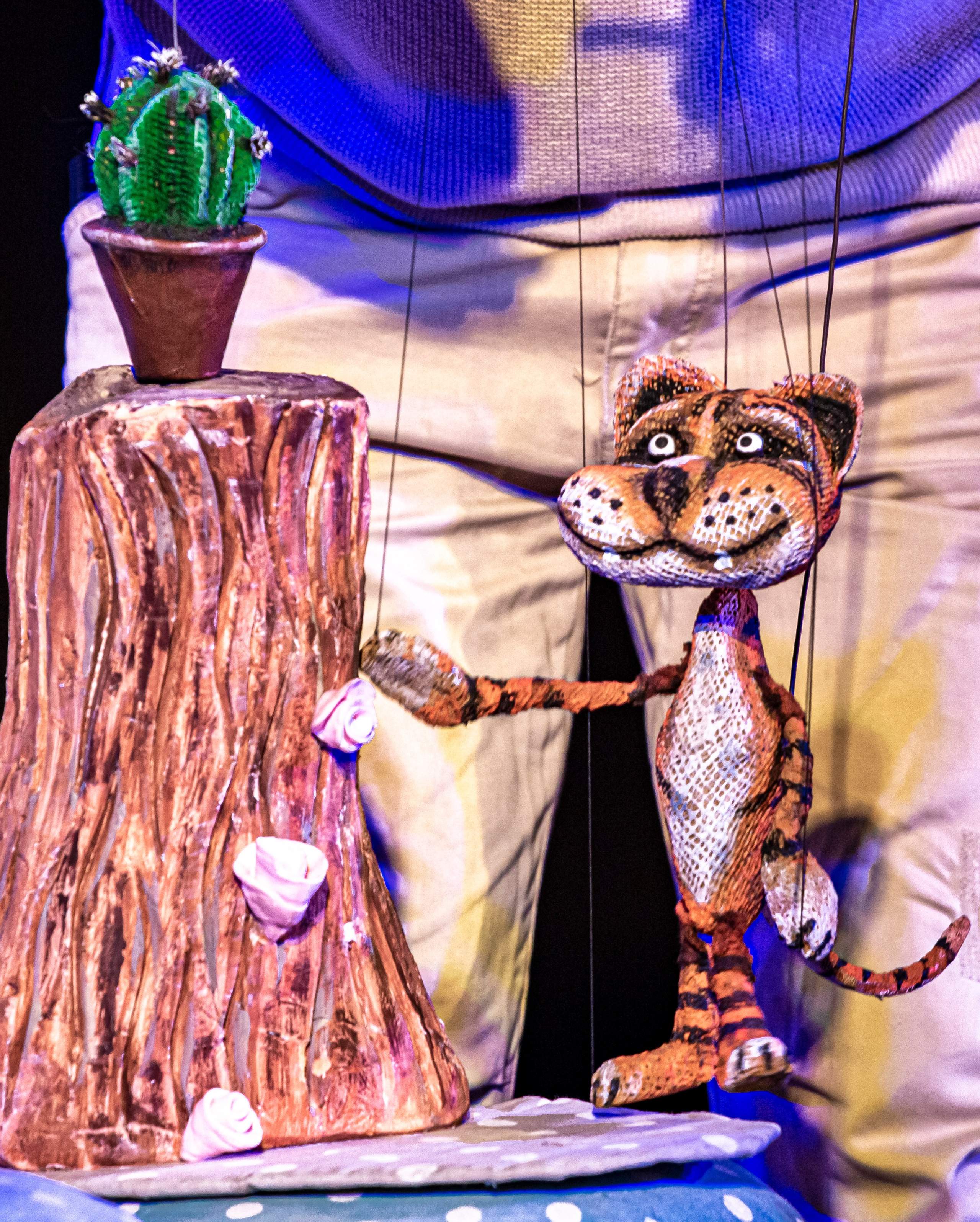 Колючая сказка. Фотограф в Сочи Юрий Шептаев