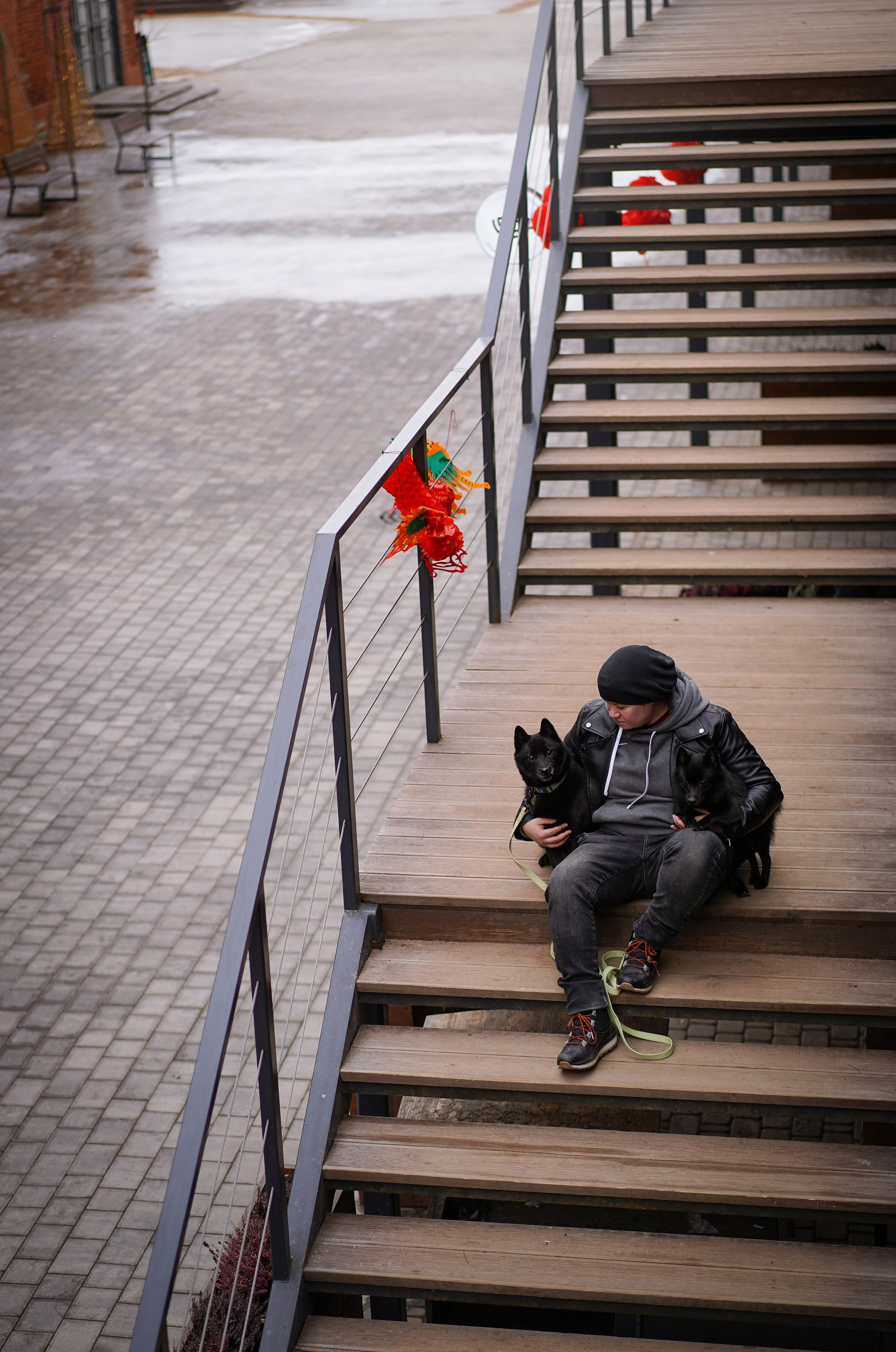 Аня Арчи и Мишель. Фотограф-анималист в Санкт-Петербурге Яна Мартынова