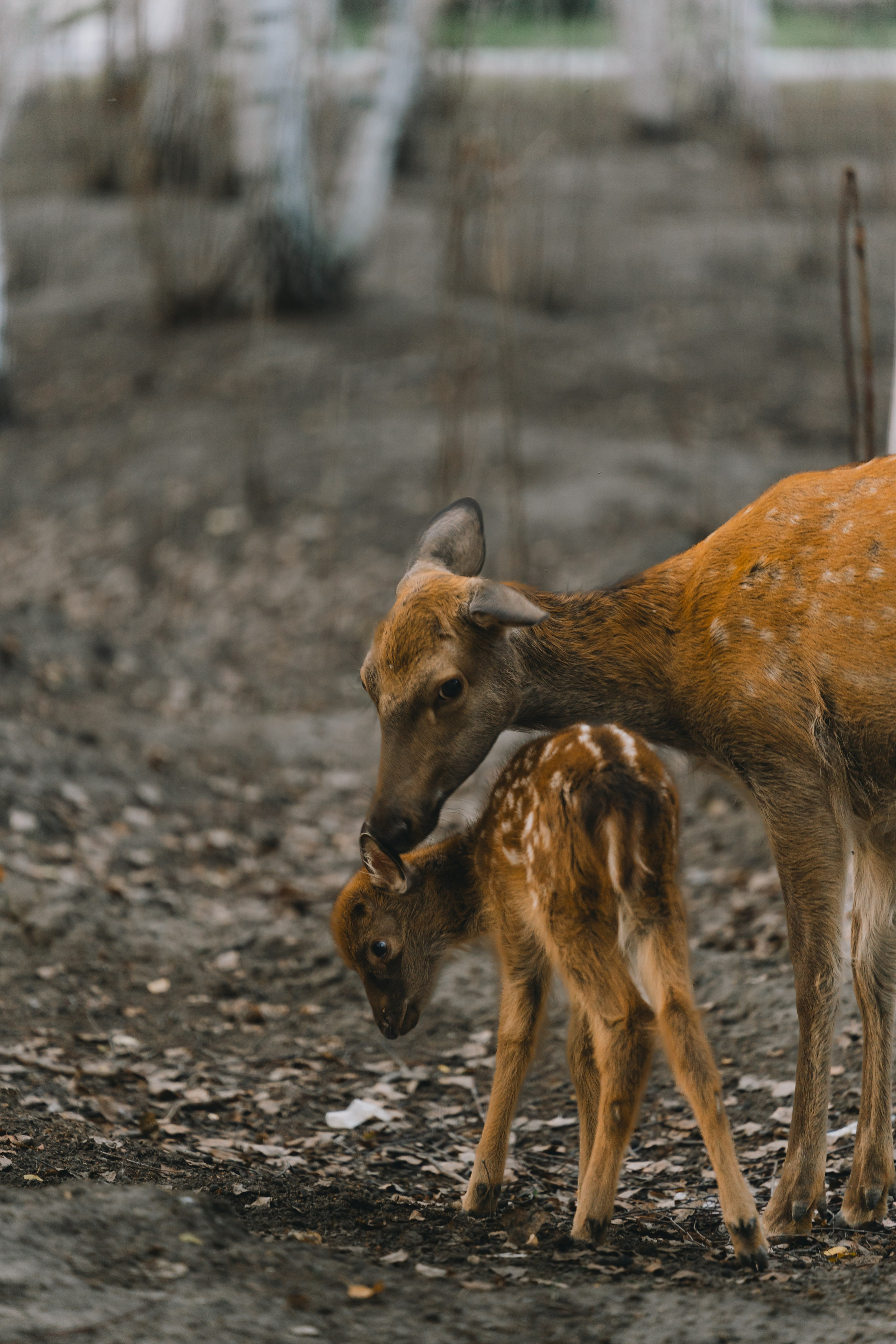 Усть-Каменогорск, Сентябрь 2024
