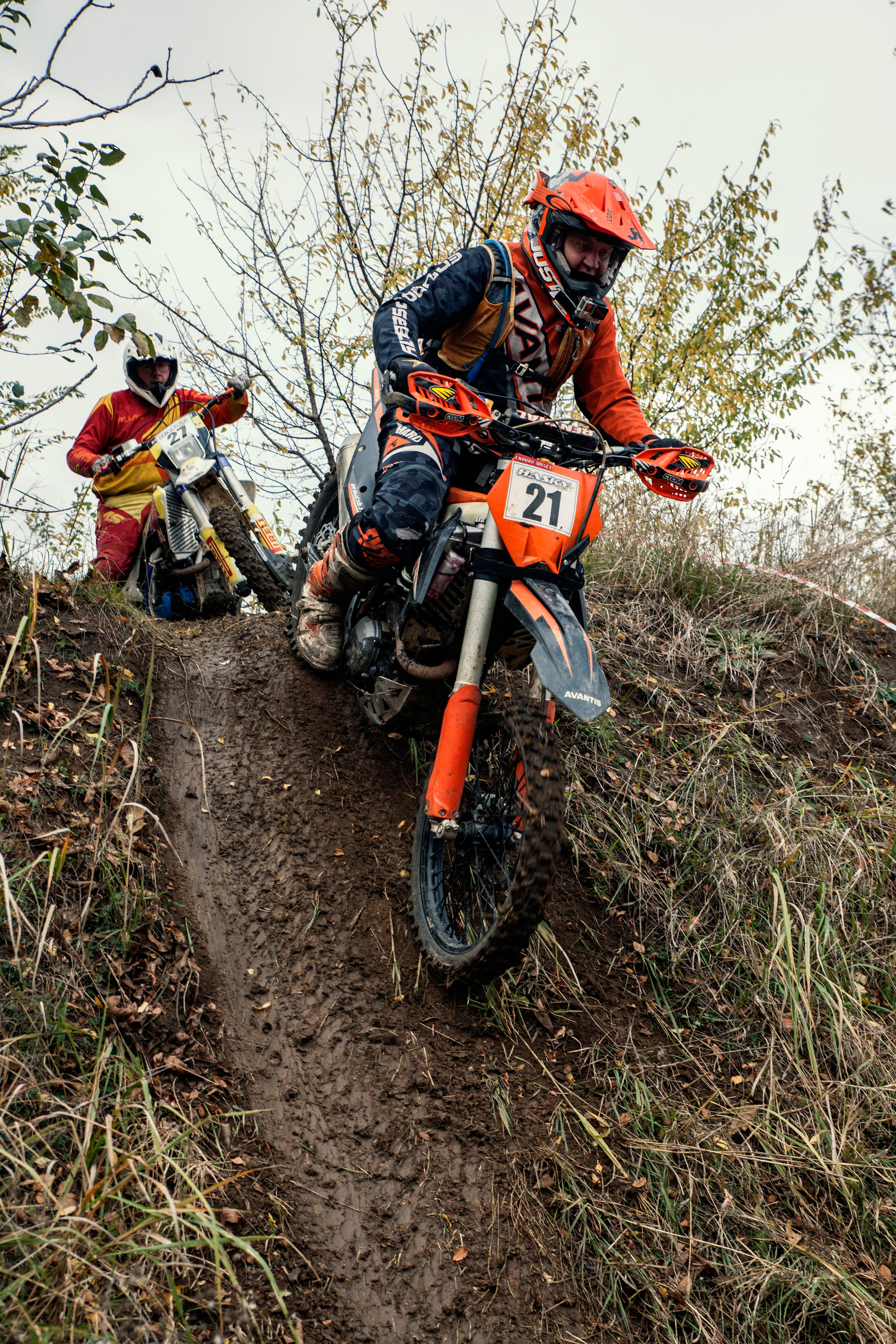 Хаскифест Тимашевск 2022. Ручка Алена — ботанический художник, дизайнер, фотограф