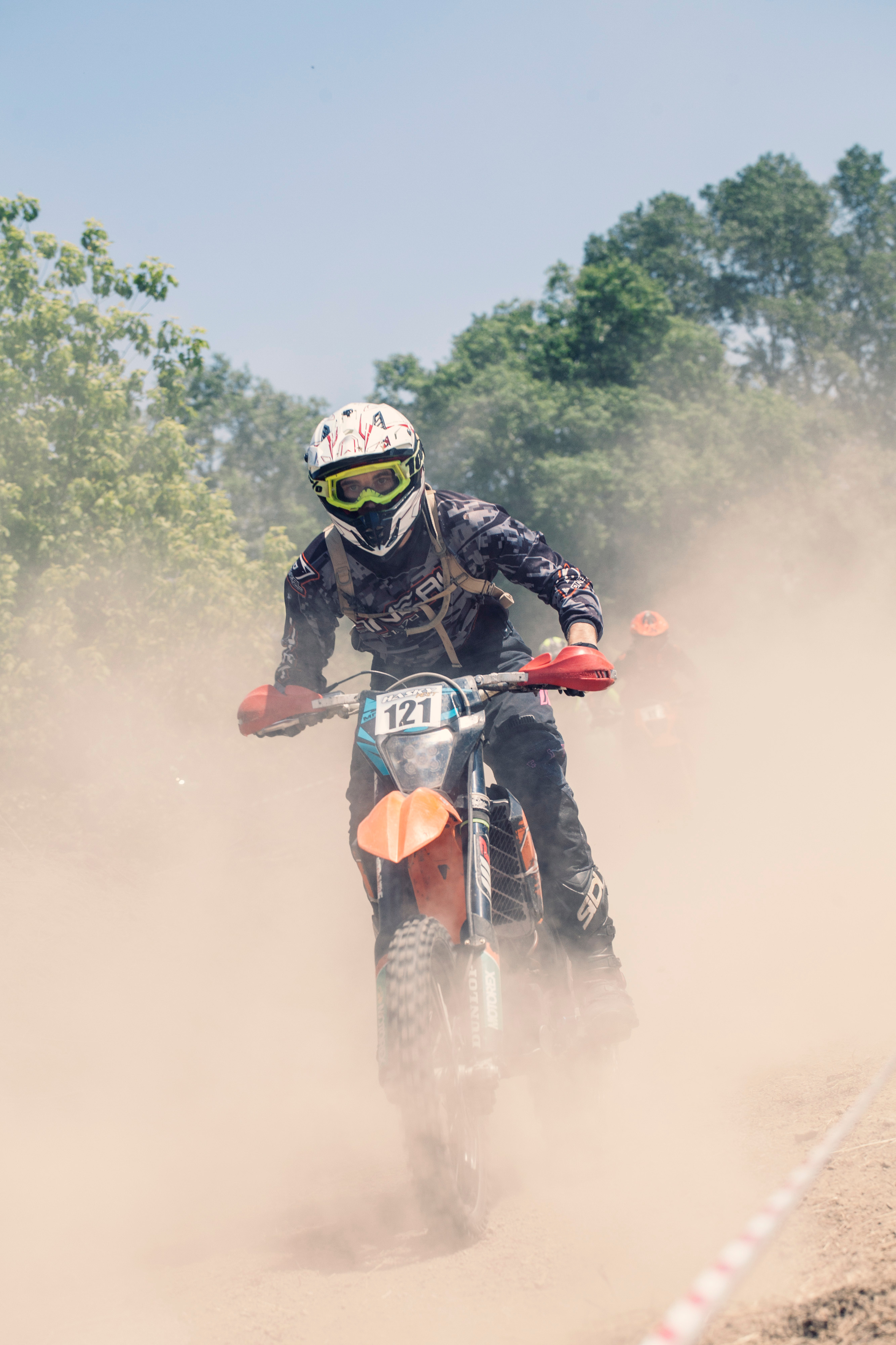 Хаски Фест май 2022. Ручка Алена — ботанический художник, дизайнер, фотограф