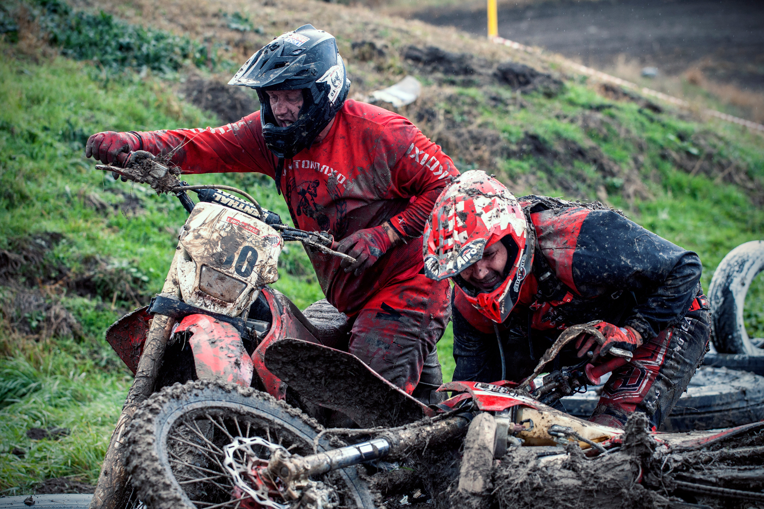 Хаскифест Тимашевск 2022. Ручка Алена — ботанический художник, дизайнер, фотограф