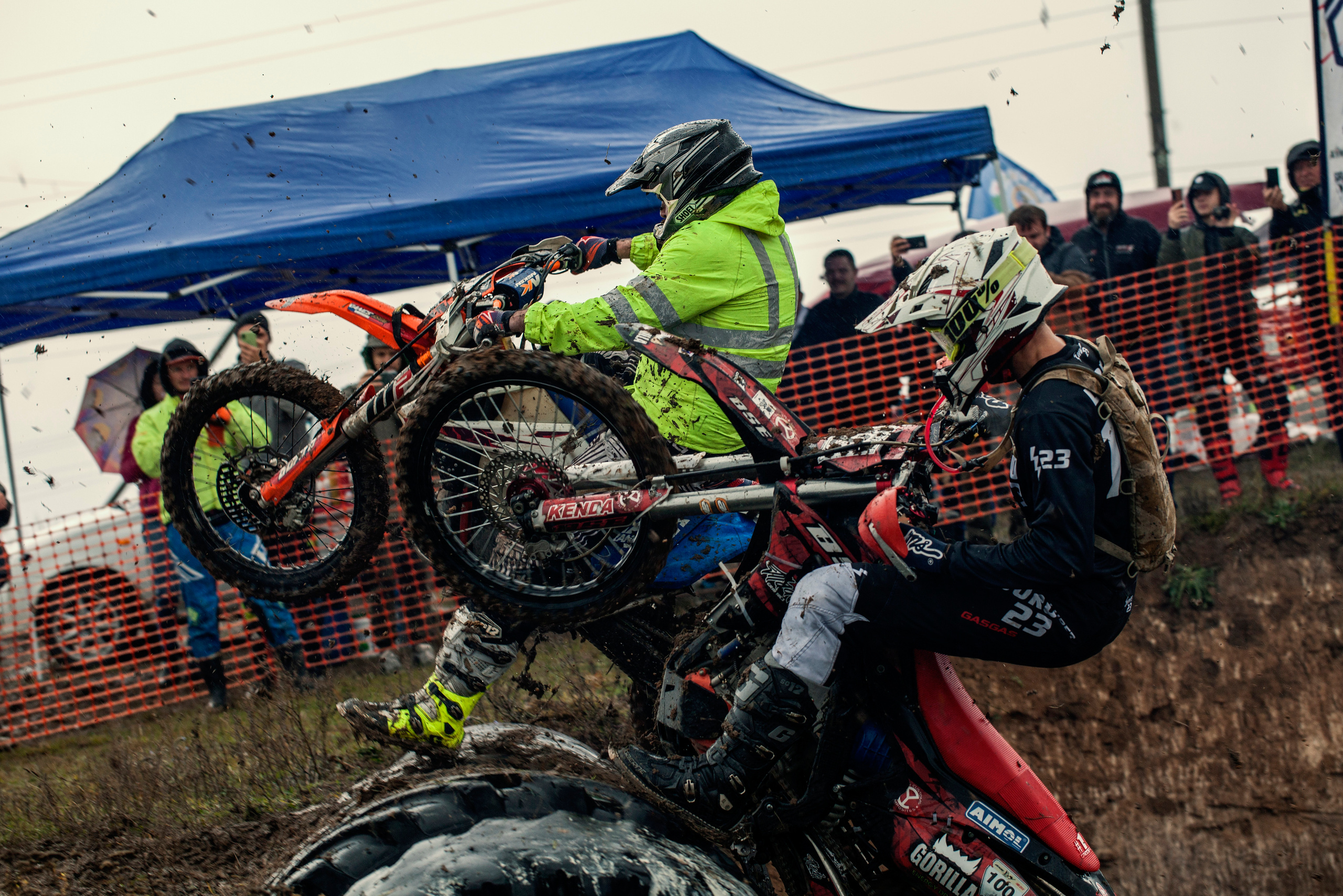 Хаскифест Тимашевск 2022. Ручка Алена — ботанический художник, дизайнер, фотограф