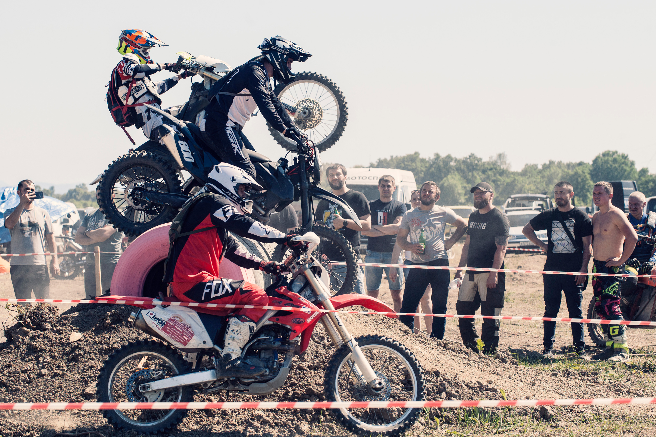 Хаски Фест май 2022. Ручка Алена — ботанический художник, дизайнер, фотограф