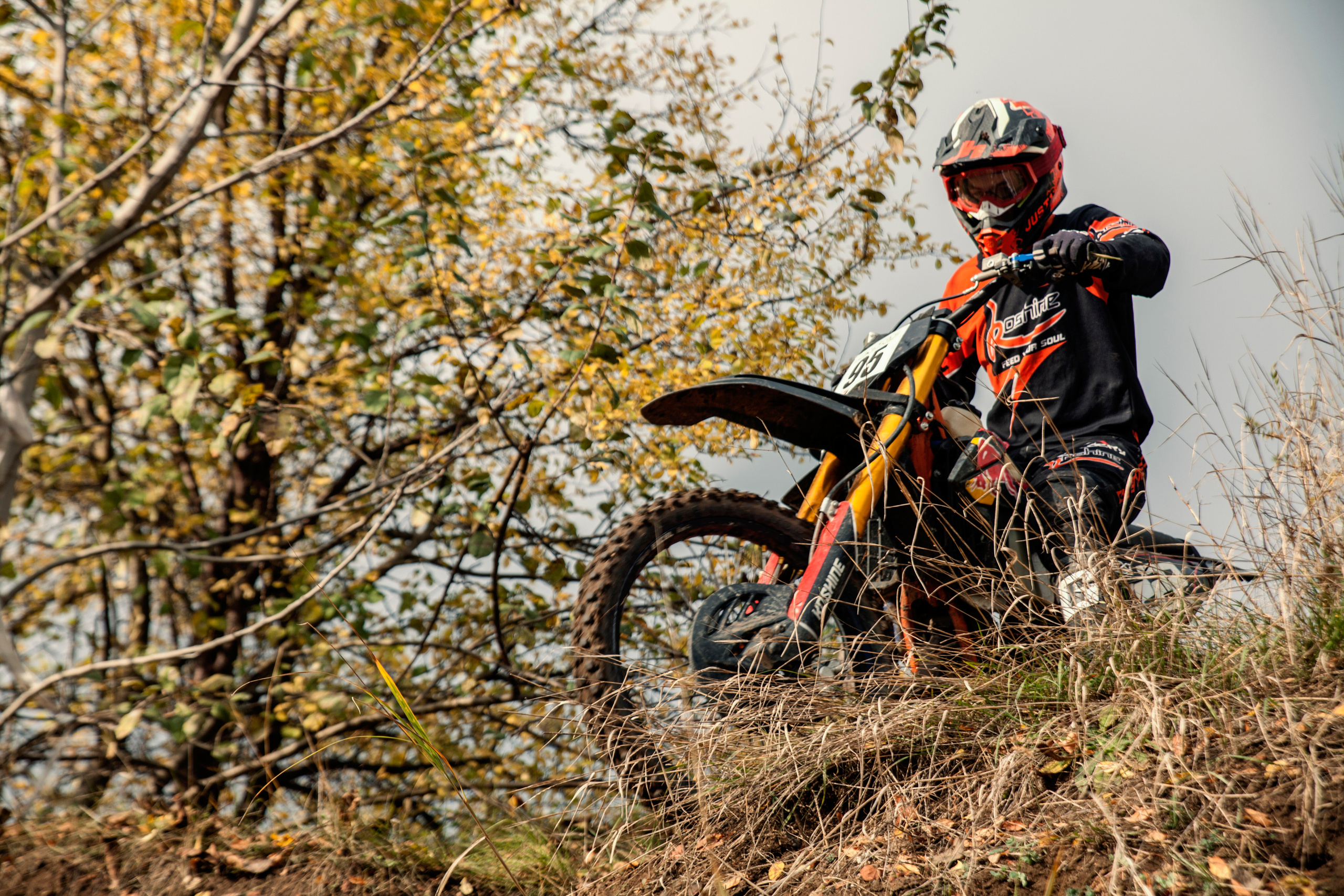 Хаскифест Тимашевск 2022. Ручка Алена — ботанический художник, дизайнер, фотограф