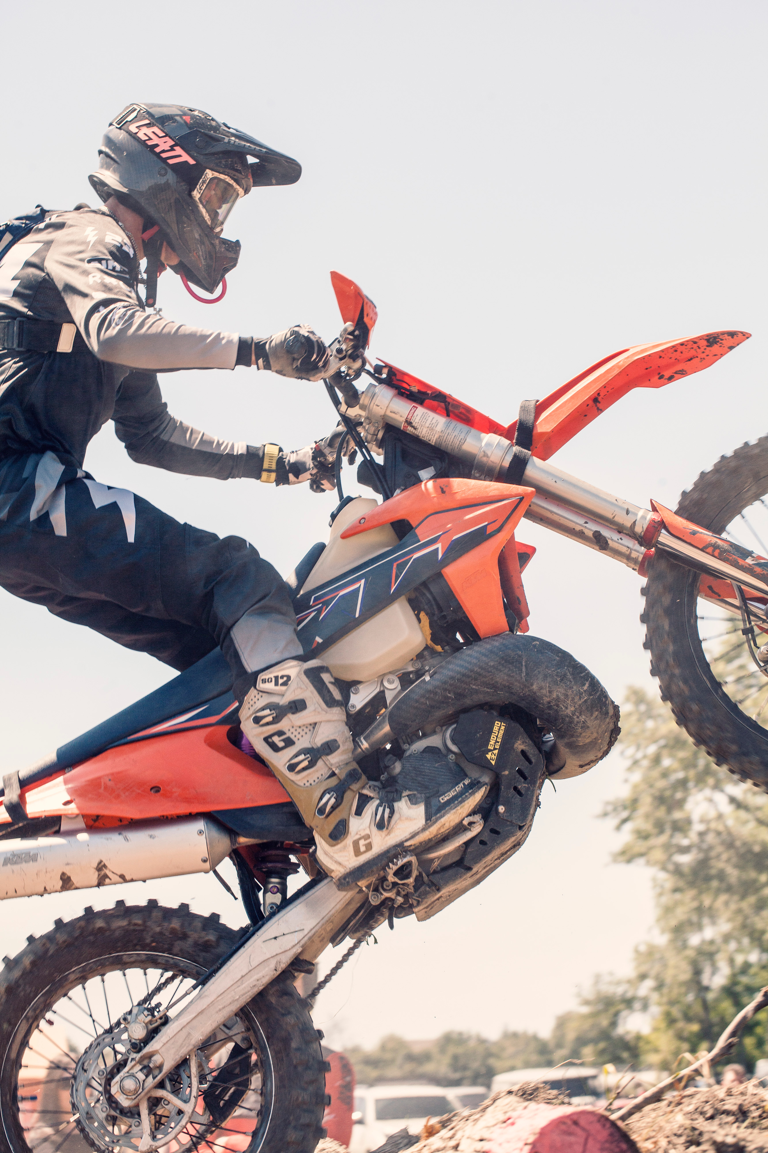 Хаски Фест май 2022. Ручка Алена — ботанический художник, дизайнер, фотограф