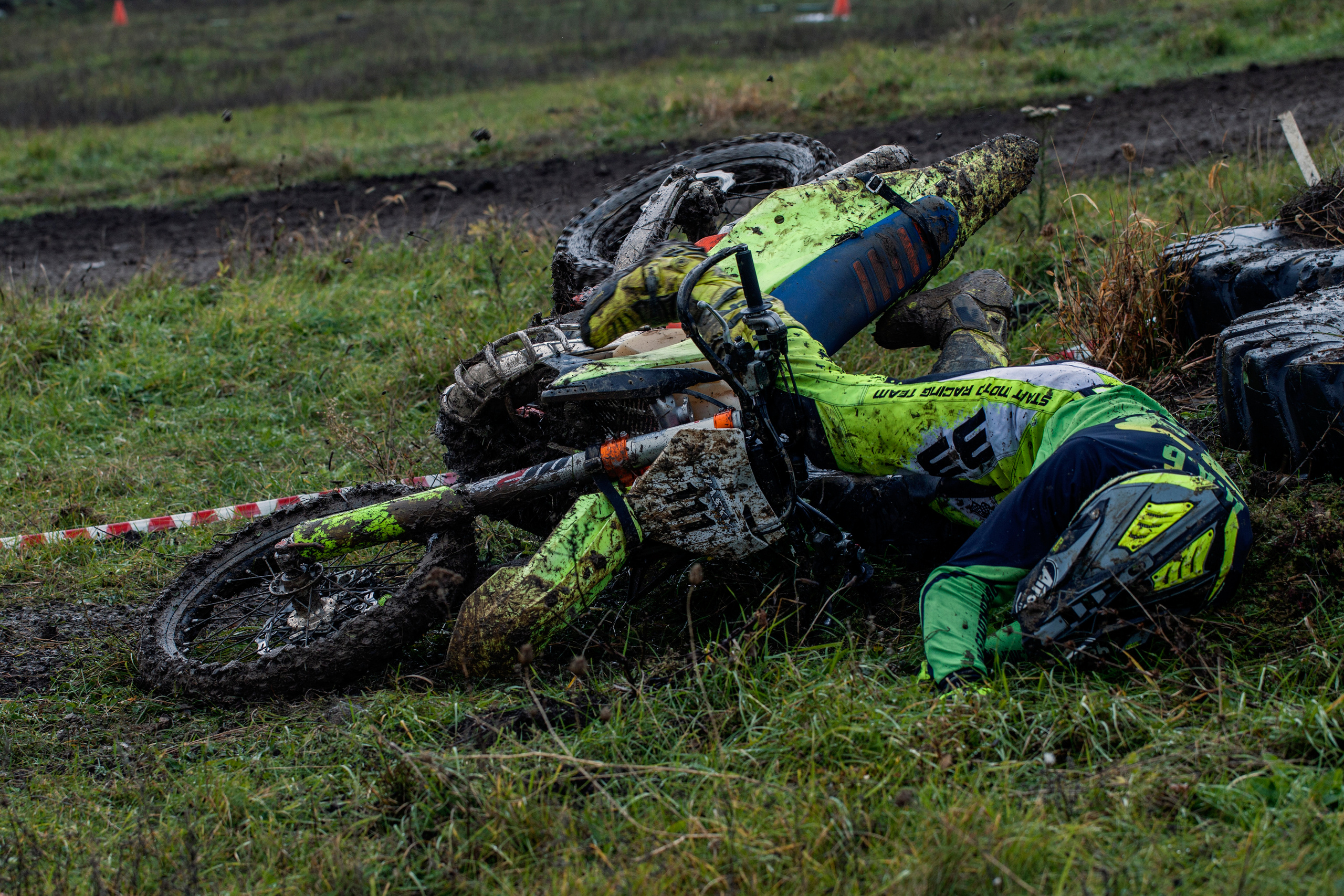 Хаскифест Тимашевск 2022. Ручка Алена — ботанический художник, дизайнер, фотограф