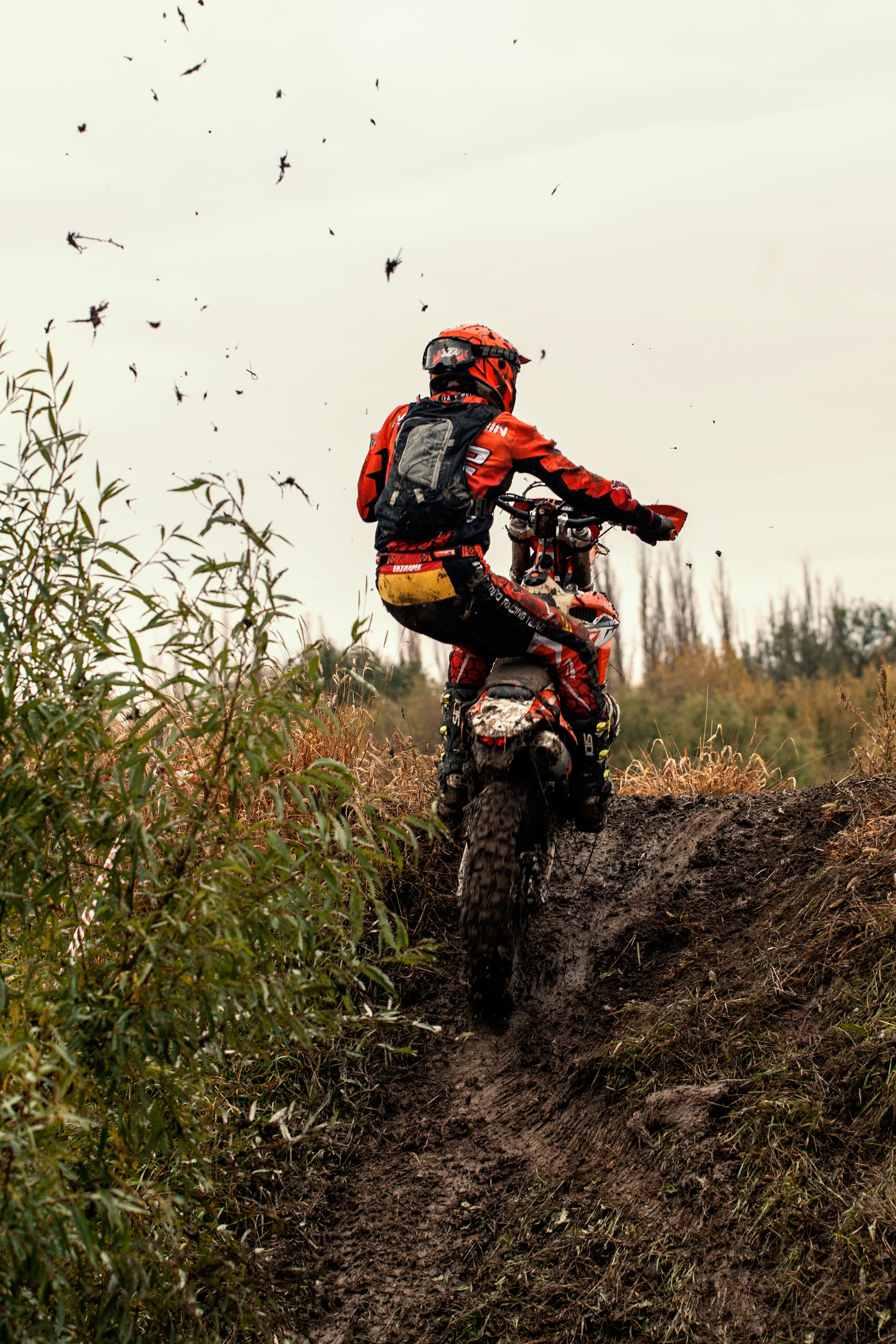 Хаскифест Тимашевск 2022. Ручка Алена — ботанический художник, дизайнер, фотограф