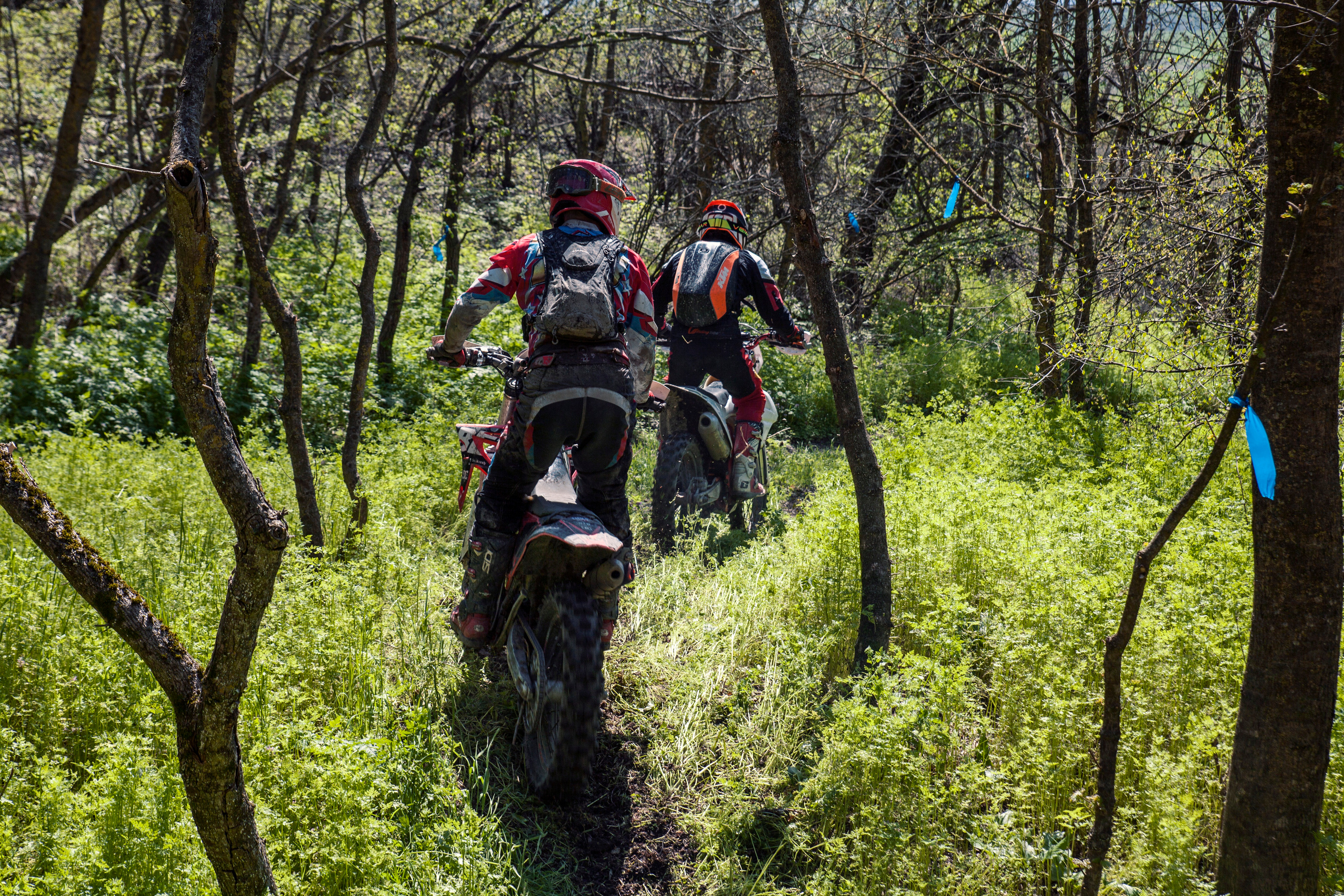 Куматырь 2023. Ручка Алена — ботанический художник, дизайнер, фотограф