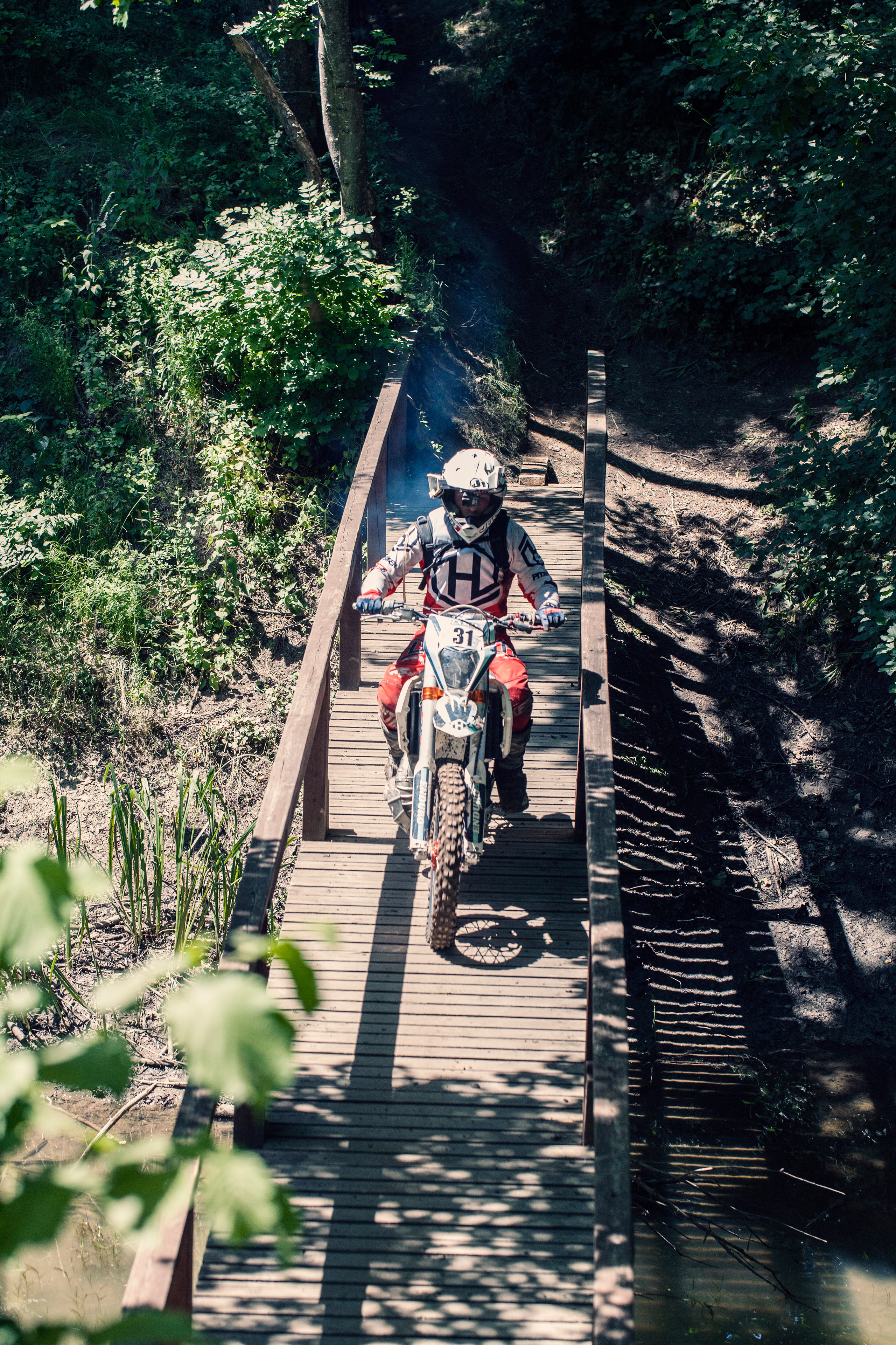 Хаски Фест май 2022. Ручка Алена — ботанический художник, дизайнер, фотограф