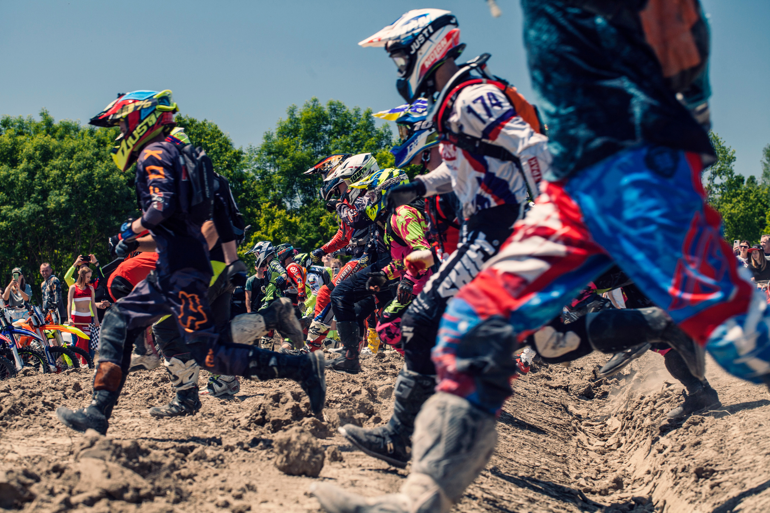 Хаски Фест май 2022. Ручка Алена — ботанический художник, дизайнер, фотограф